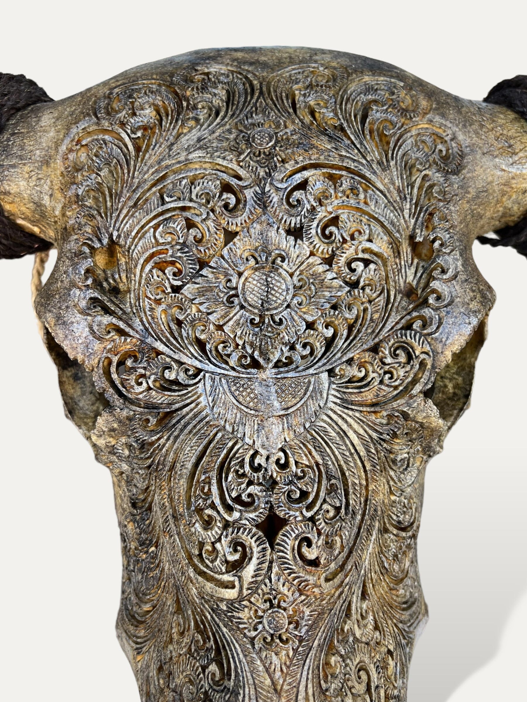 Crâne de buffle sculpté - Hazel Cokoha