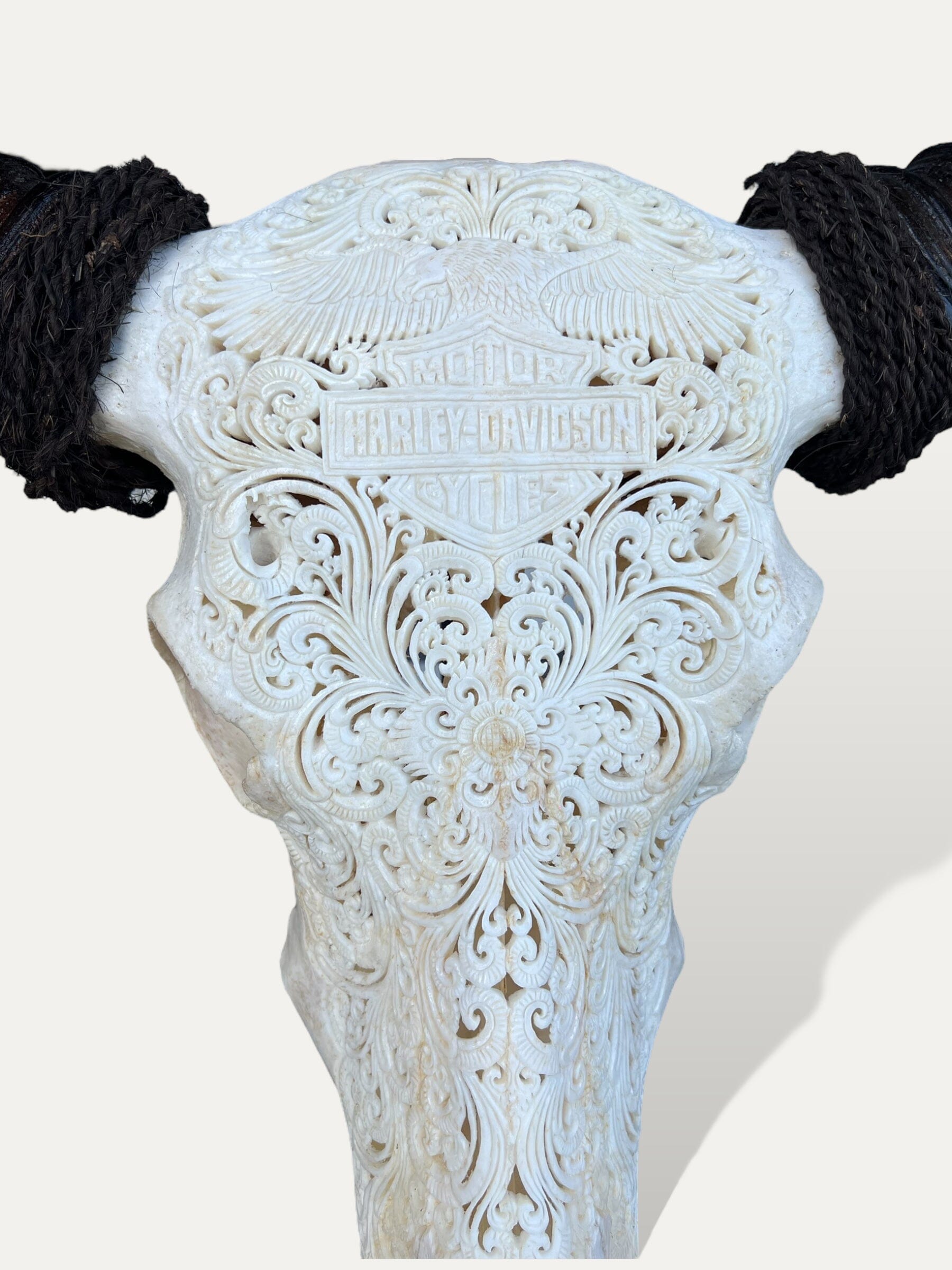 Crâne de buffle sculpté XL - Thunder Cokoha