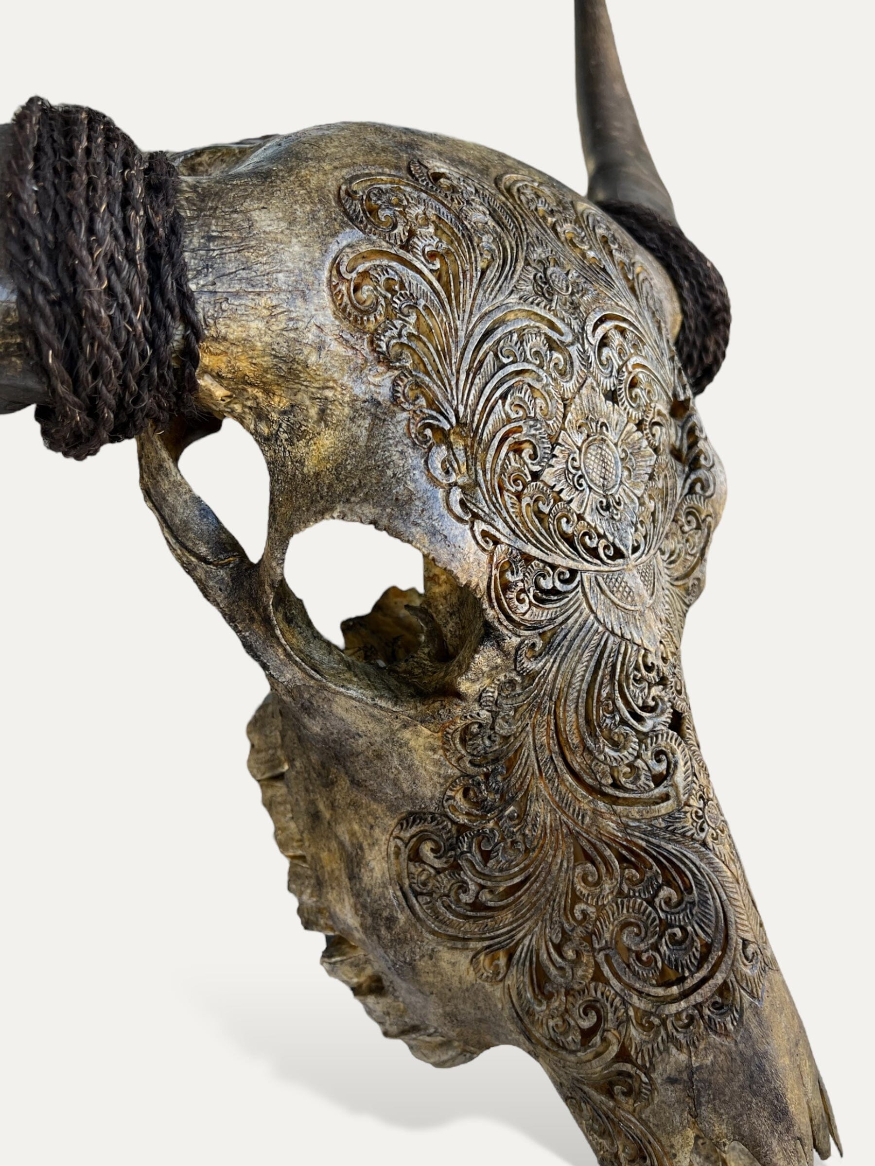 Crâne de buffle sculpté - Hazel Cokoha