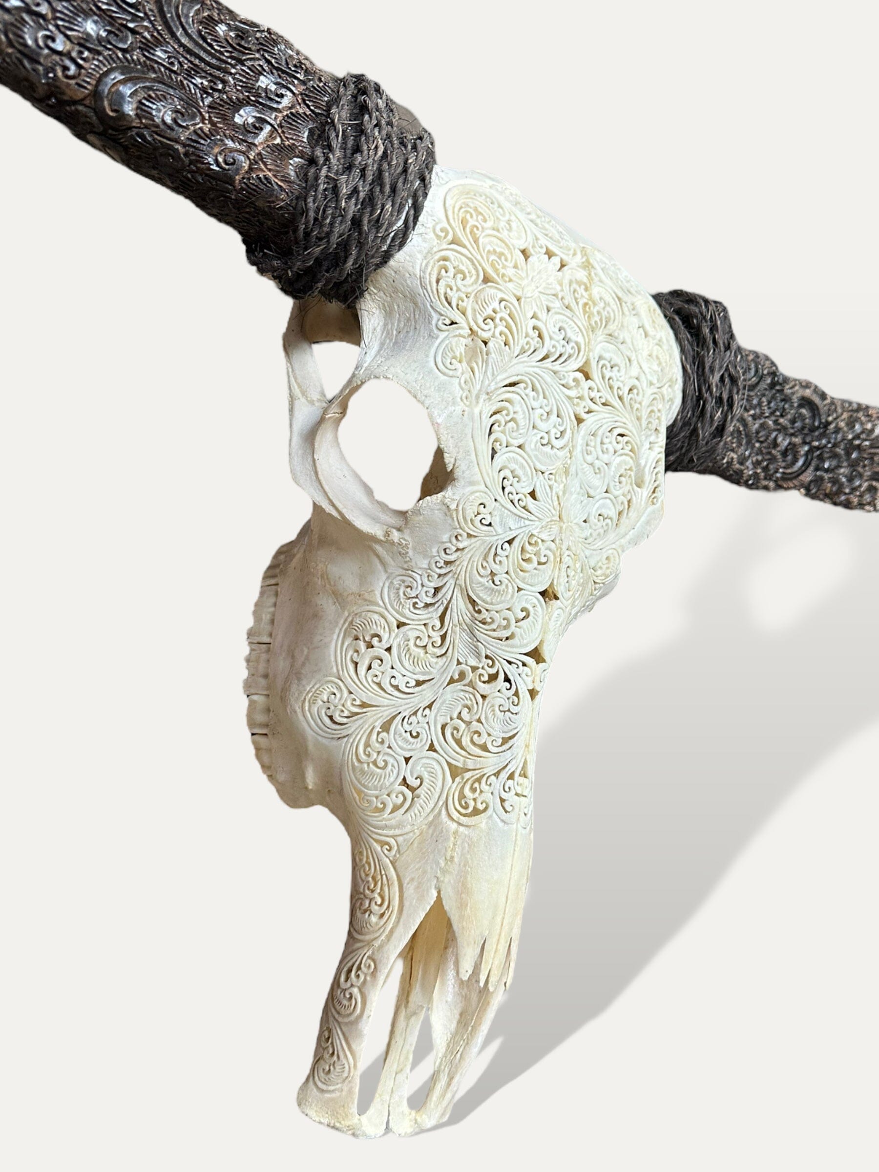 Crâne de buffle sculpté XL - Lotus mystique Cokoha