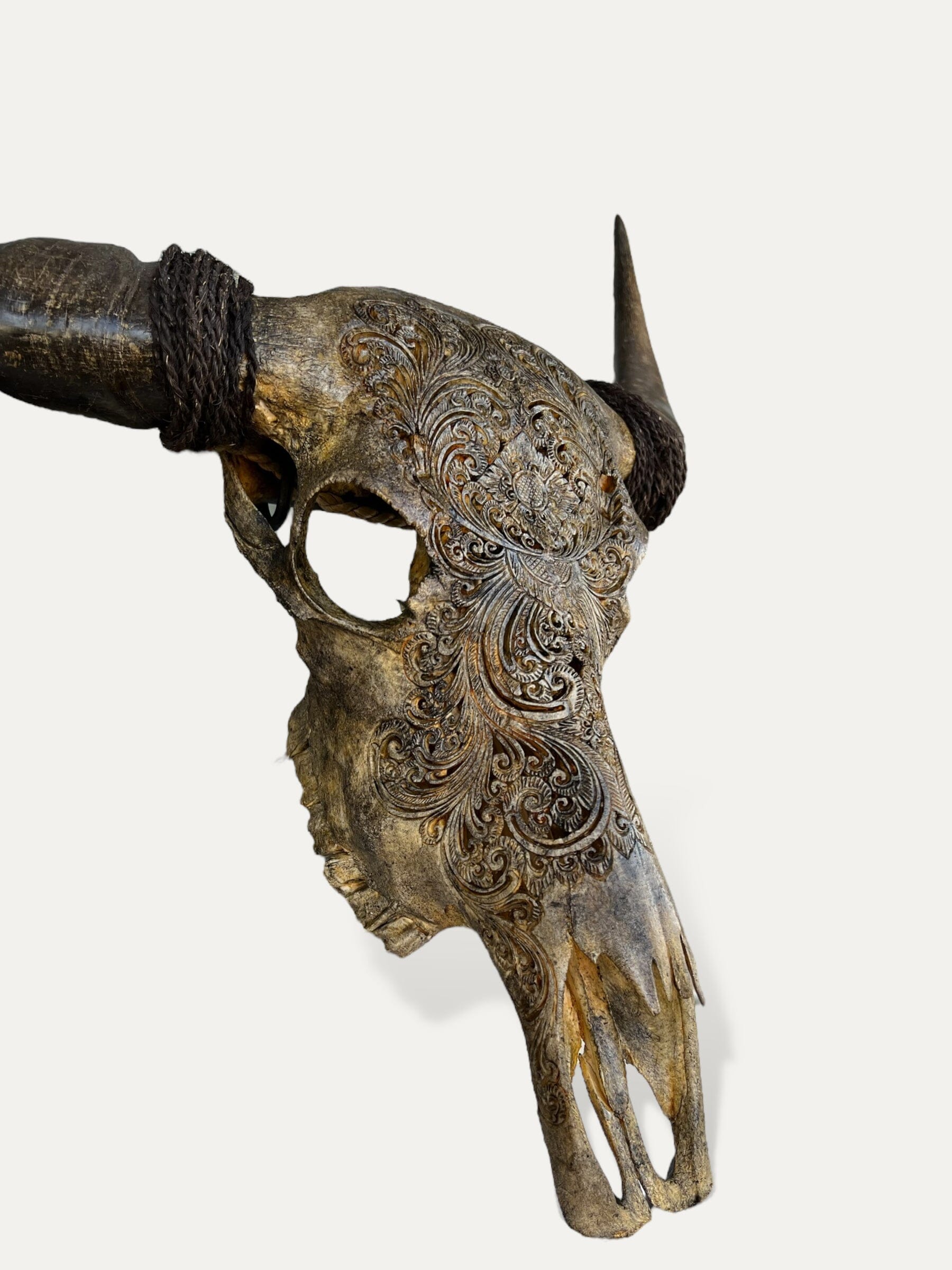 Crâne de buffle sculpté - Hazel Cokoha