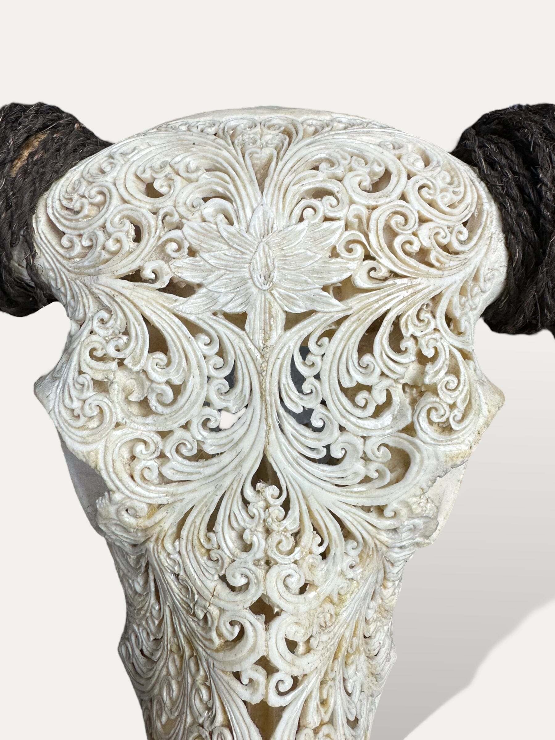 Crâne de buffle sculpté - Padma Cokoha
