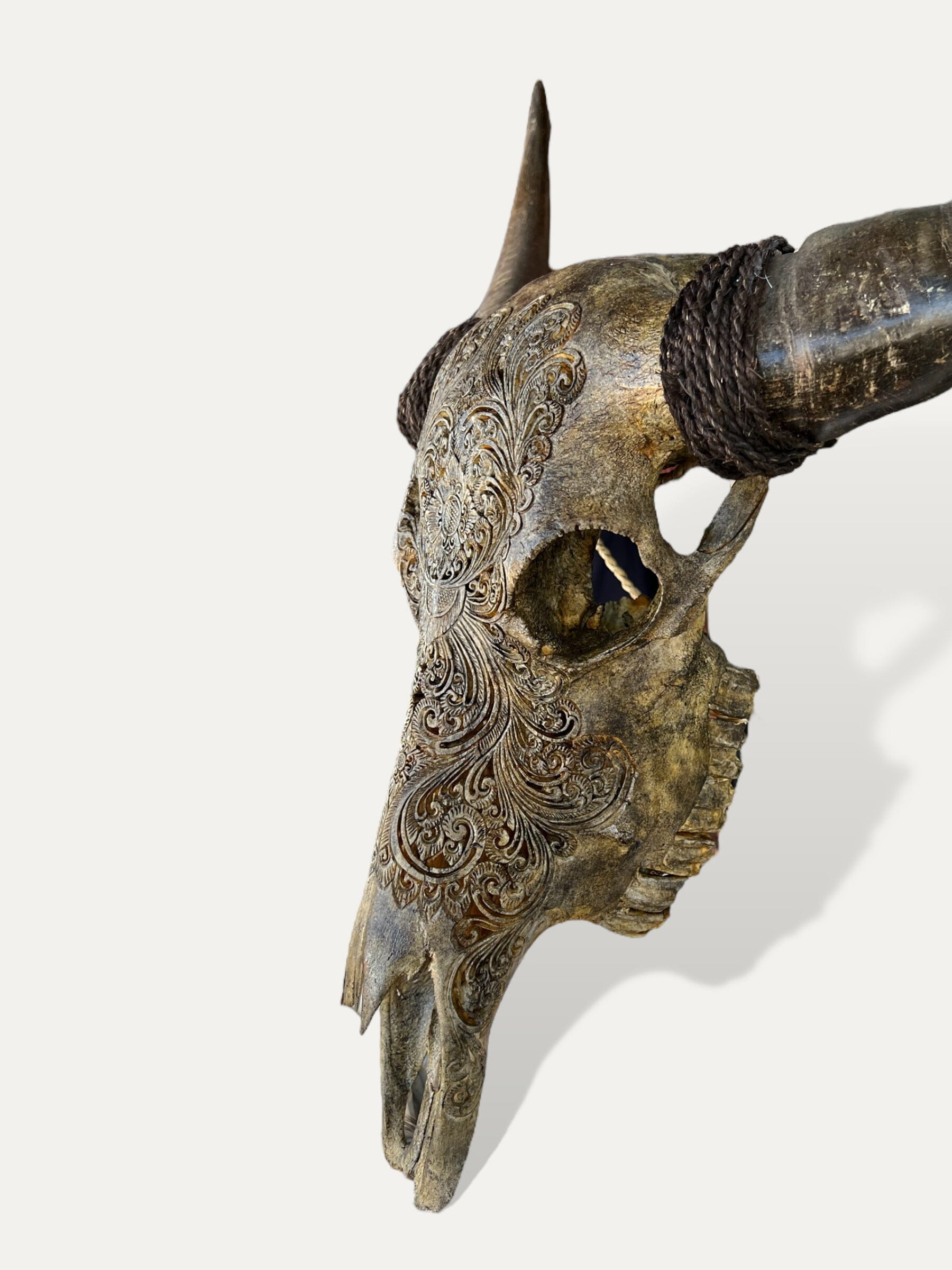 Crâne de buffle sculpté - Hazel Cokoha