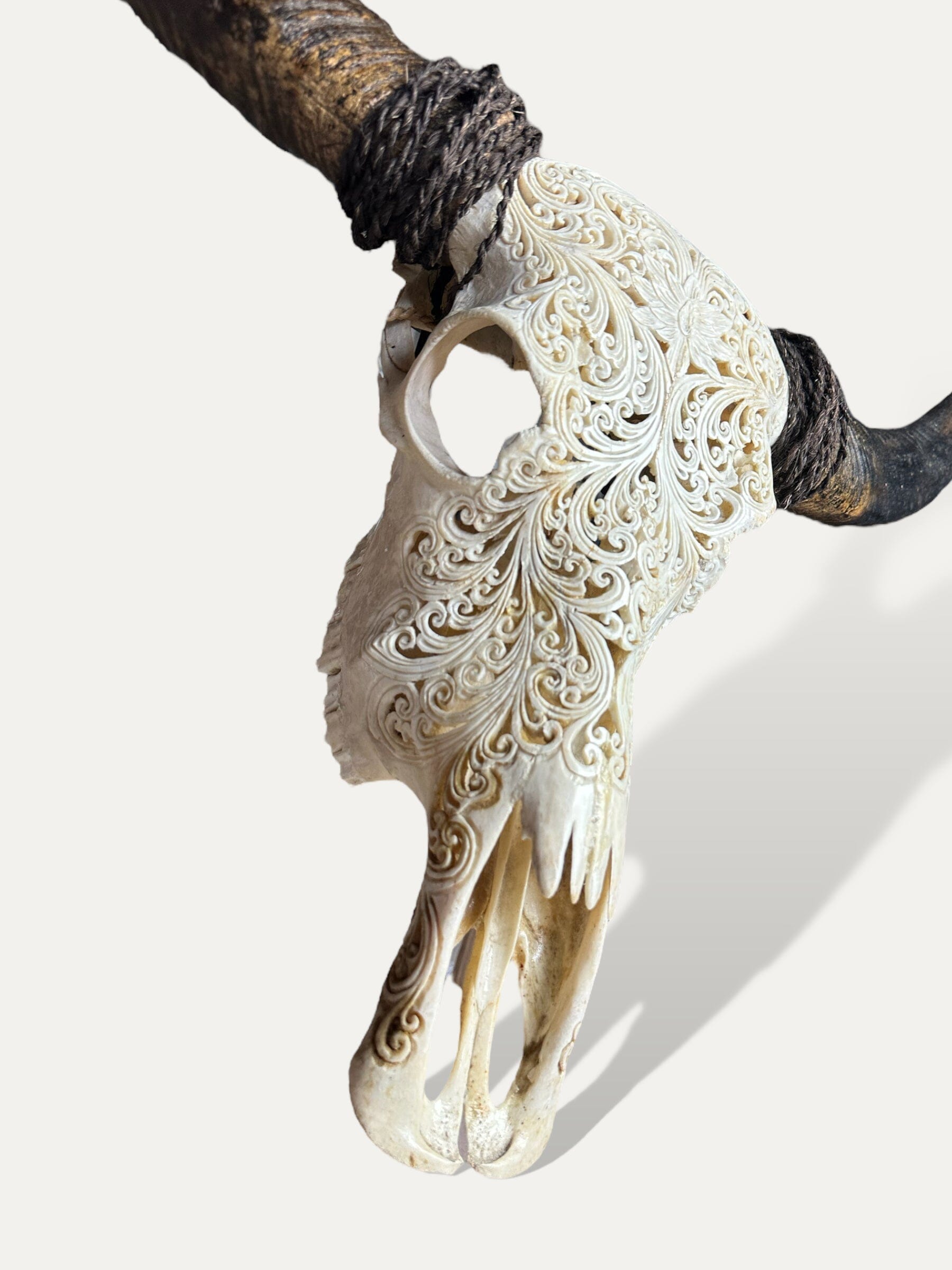 Crâne de buffle sculpté - Padma Cokoha