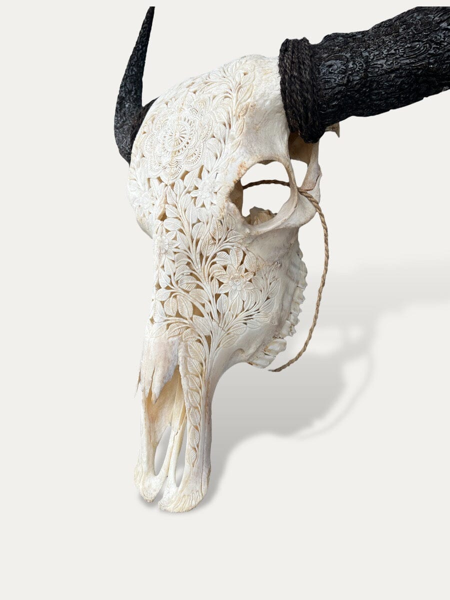 Crâne de buffle cornes sculptées - Sakti Cokoha