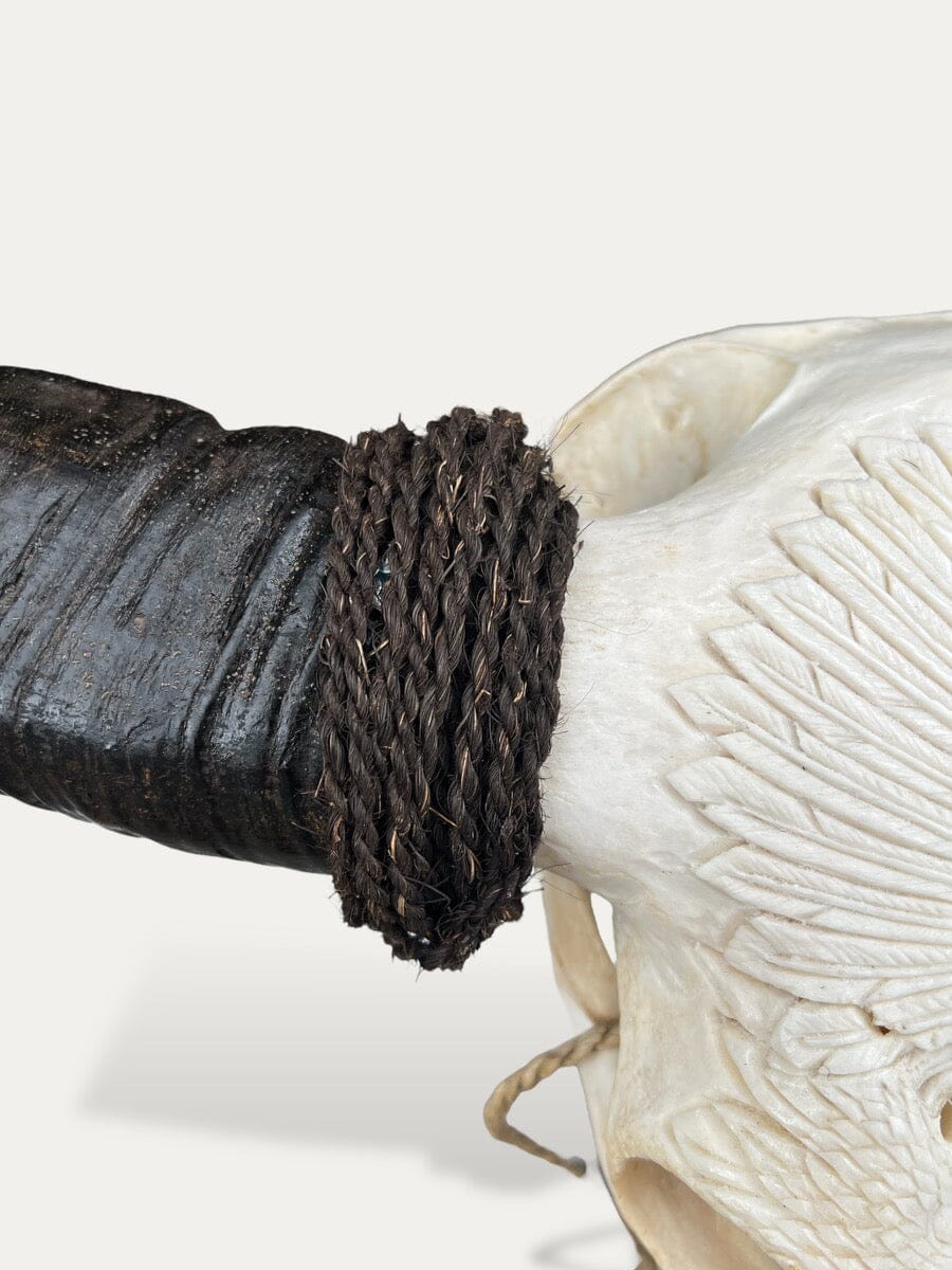 Crâne de buffle sculpté - Sitting Bull Cokoha