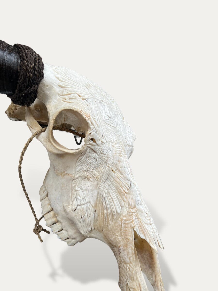 Crâne de buffle sculpté - Sitting Bull Cokoha