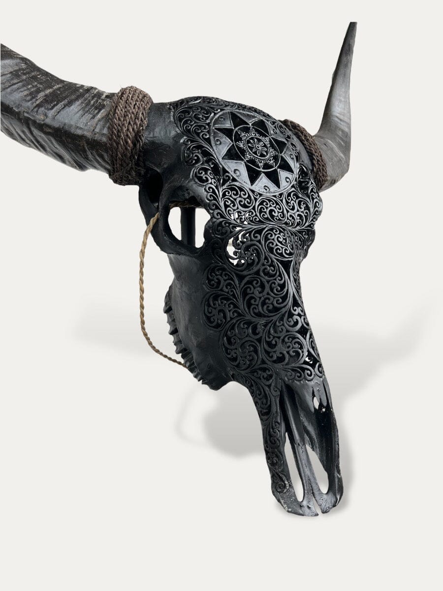 Crâne de buffle sculpté - Stella Cokoha