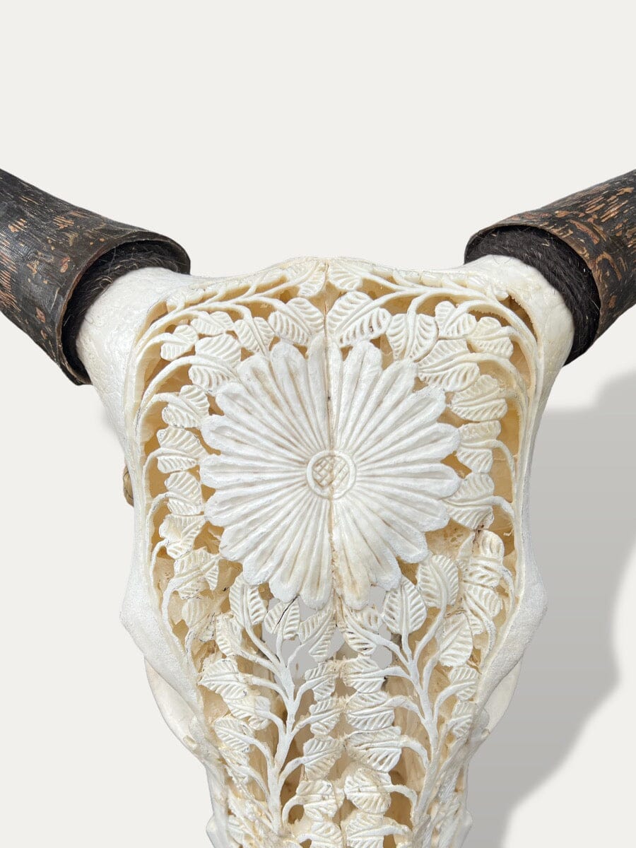 Crâne de vache sculpté - Sapi Cokoha