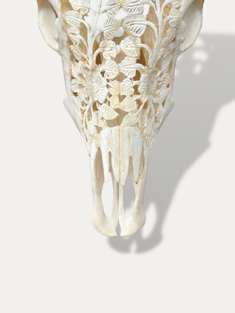 Crâne de vache sculpté - Sapi Cokoha