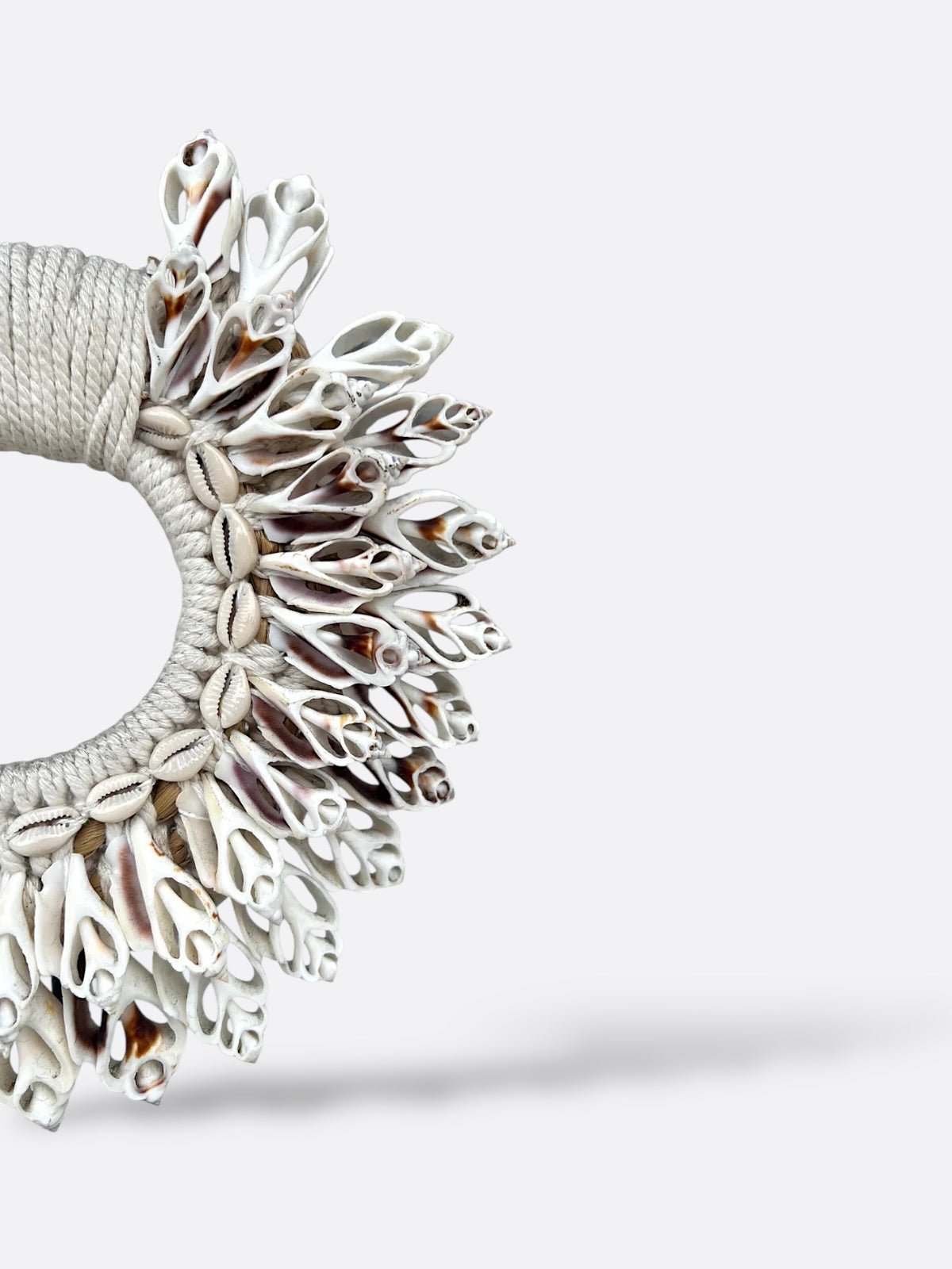 Détail des coquillages blancs du collier Semesta