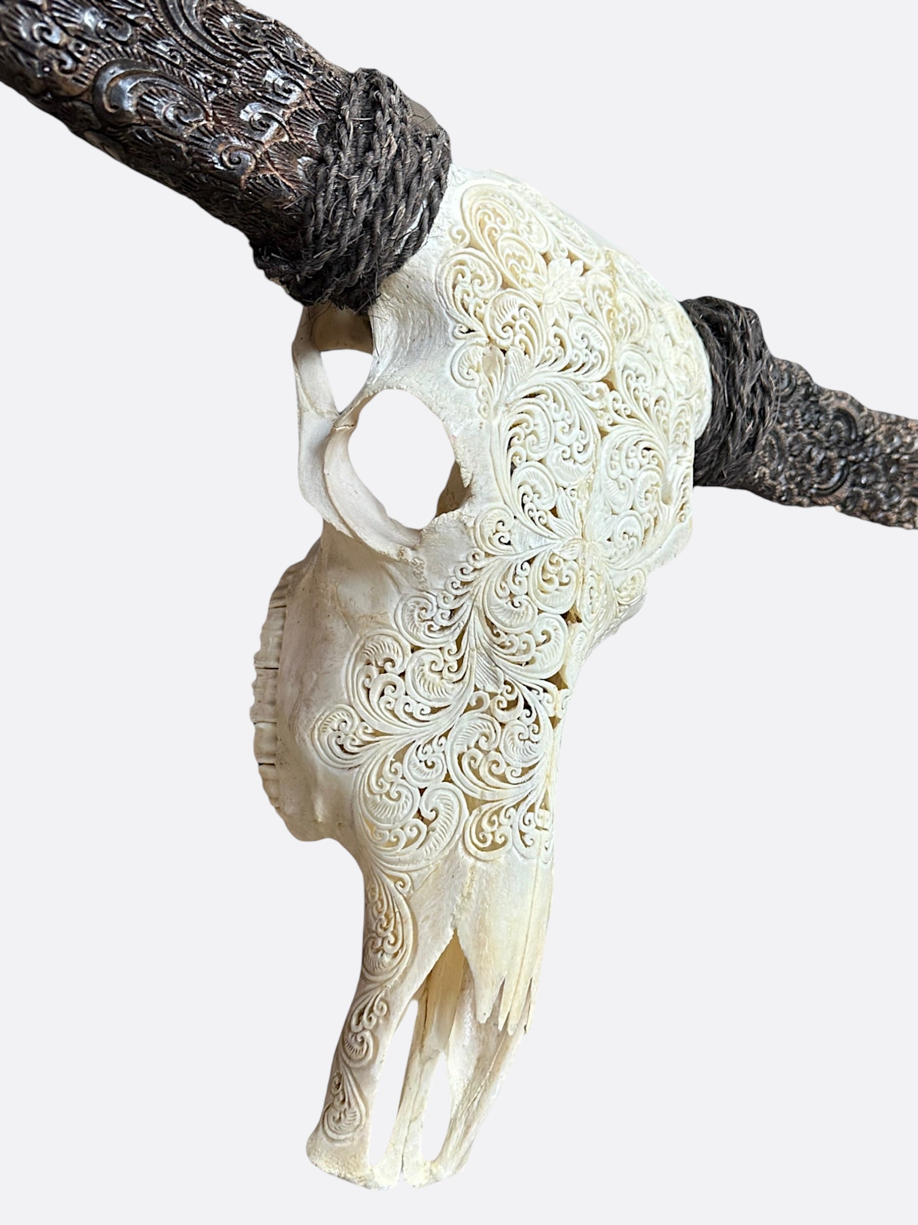 crane de buffle blanc sculpté a la main piece décorative murale