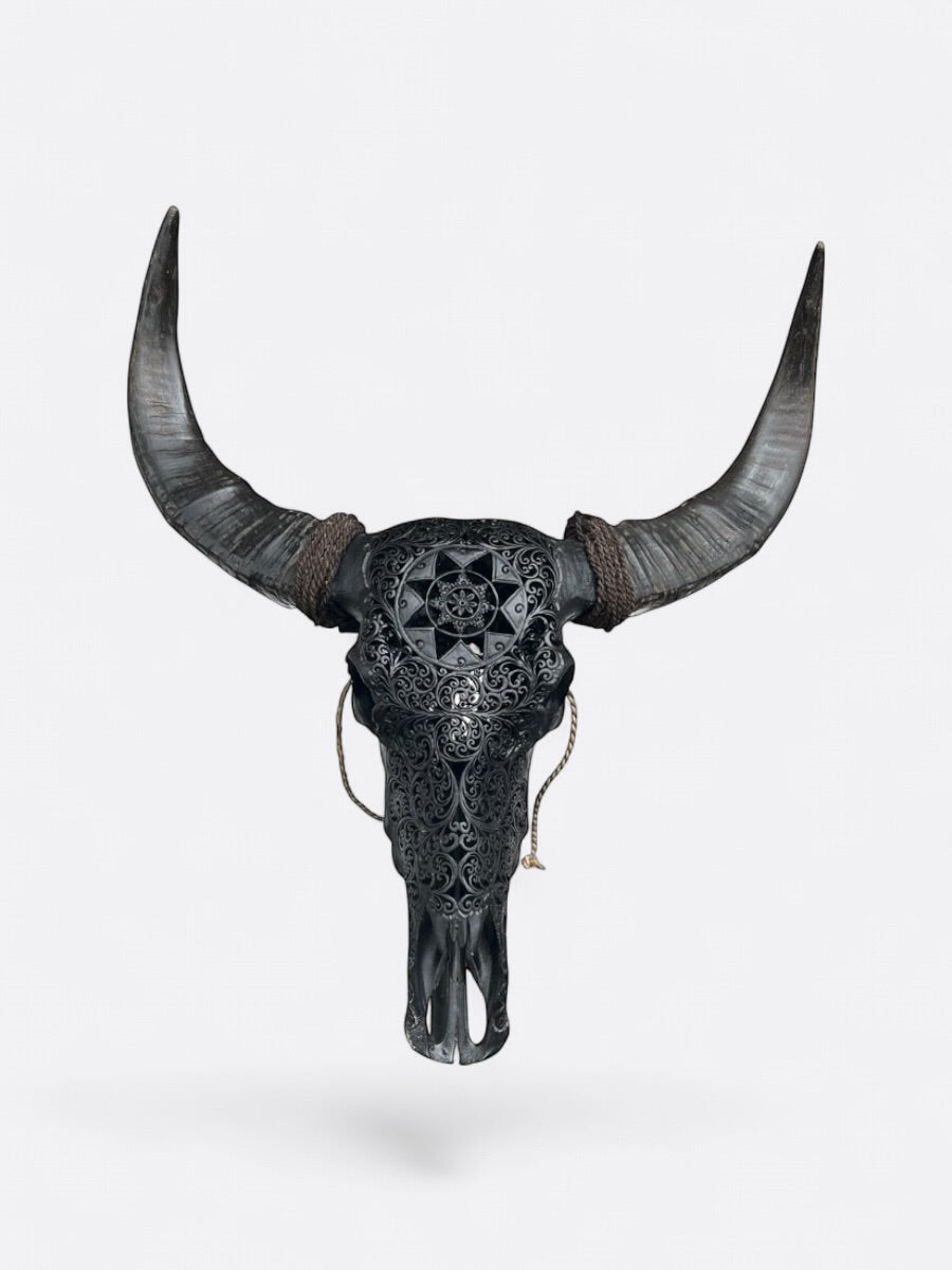 Crâne de buffle noir sculpté à la main à Bali – Stella