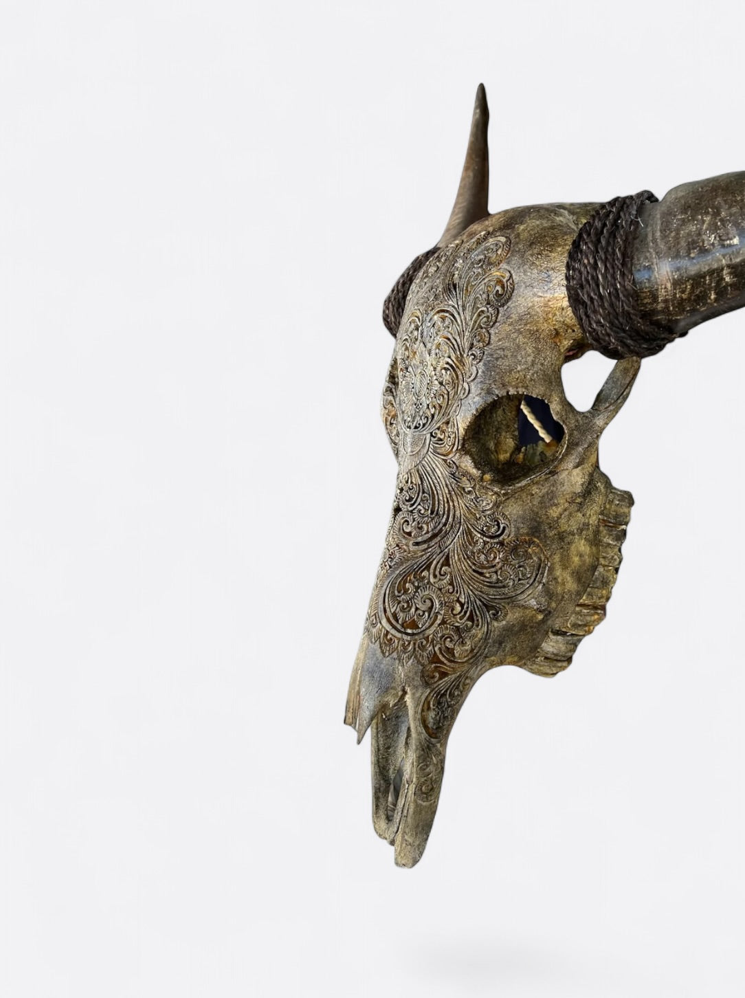 Crâne de buffle marron sculpté à la main – Hazel