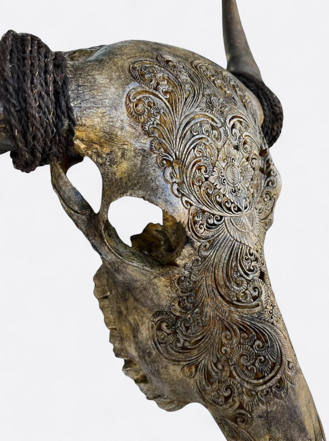 Crâne de buffle sculpté marron en os naturel – artisanat balinais