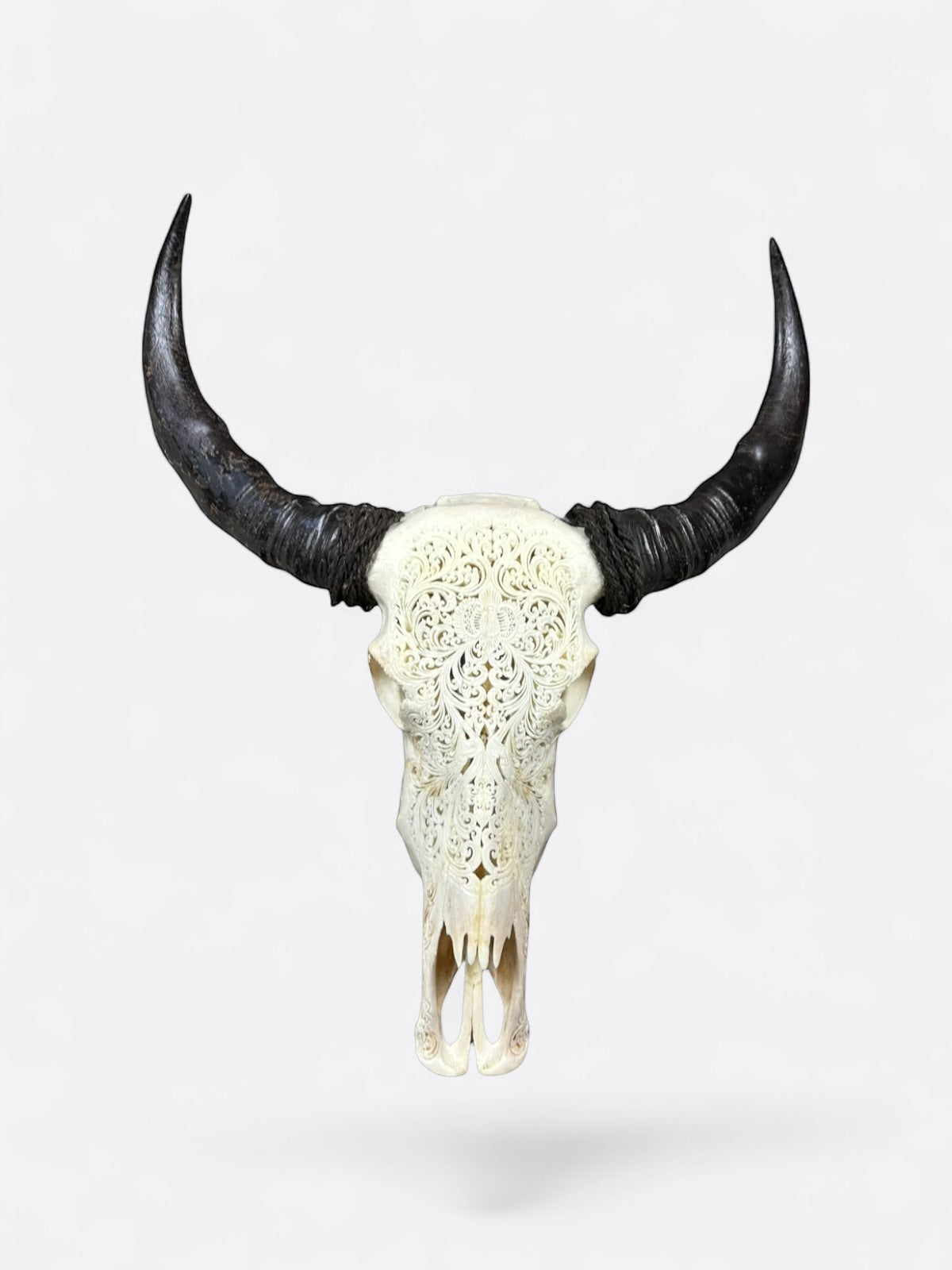 Crâne de buffle artisanal balinais gravé d’une abeille – décoration murale