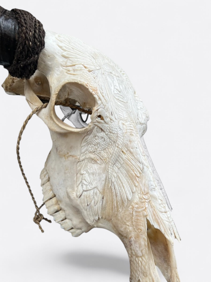 Crâne de buffle blanc sculpté avec visage d’indien, cornes naturelles, artisanat balinais