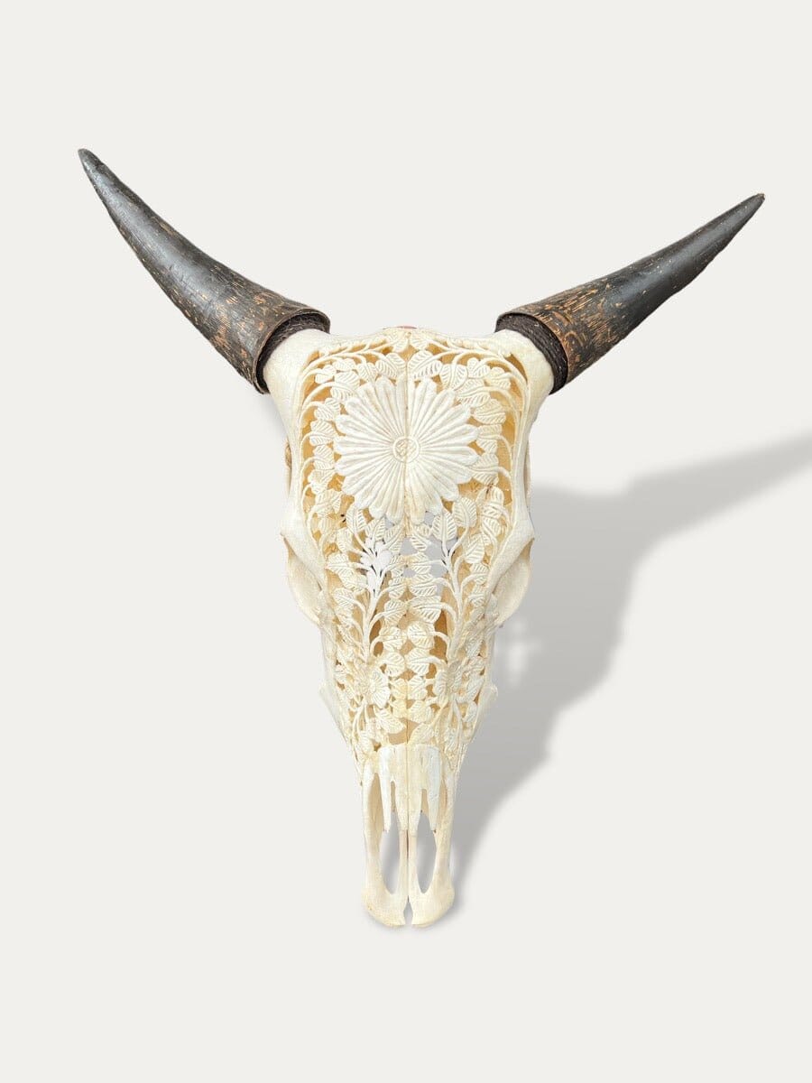 Crâne de vache sculpté - Sapi Cokoha
