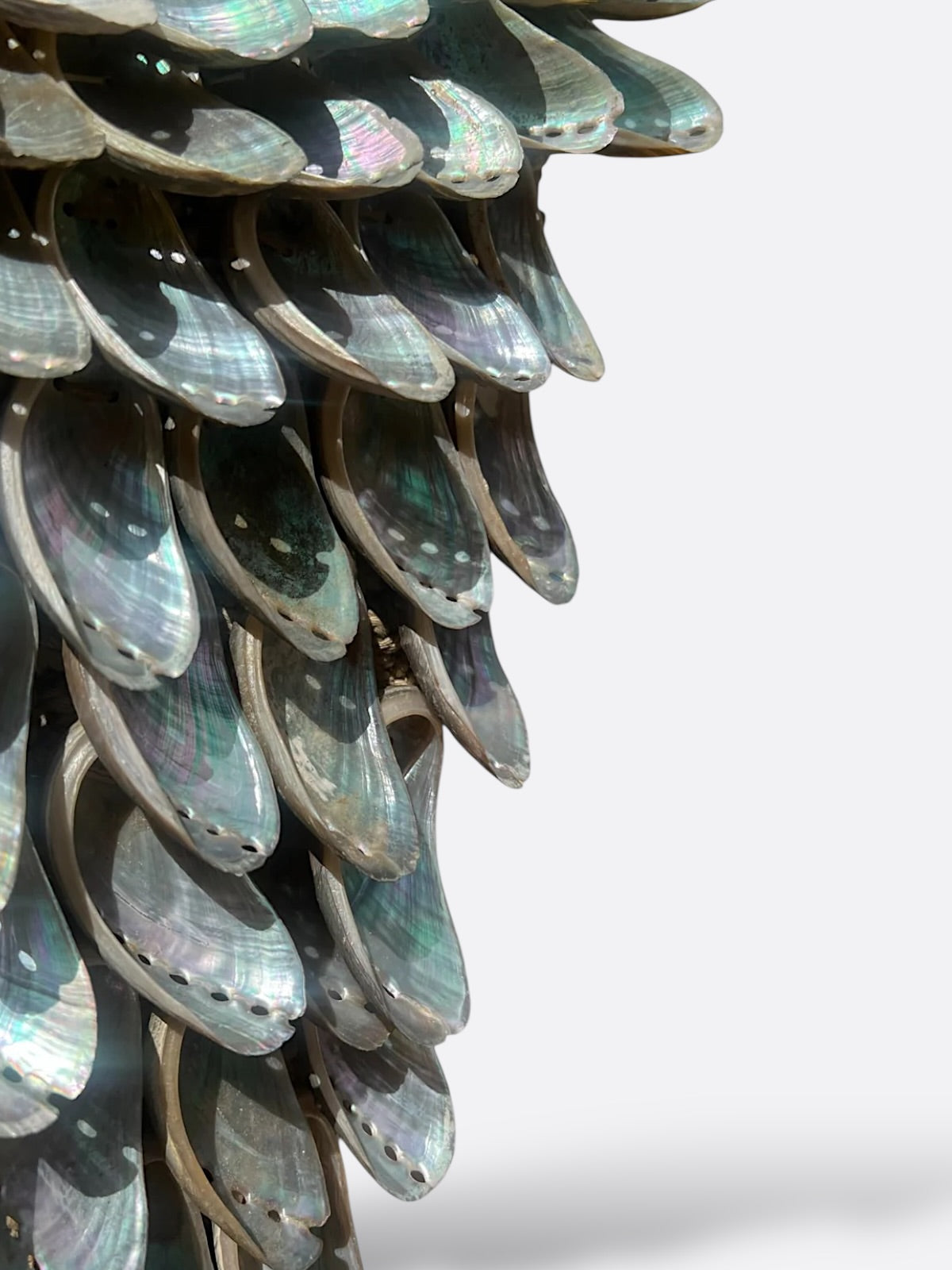 Grand collier en coquillages - Le grand collier Kerang