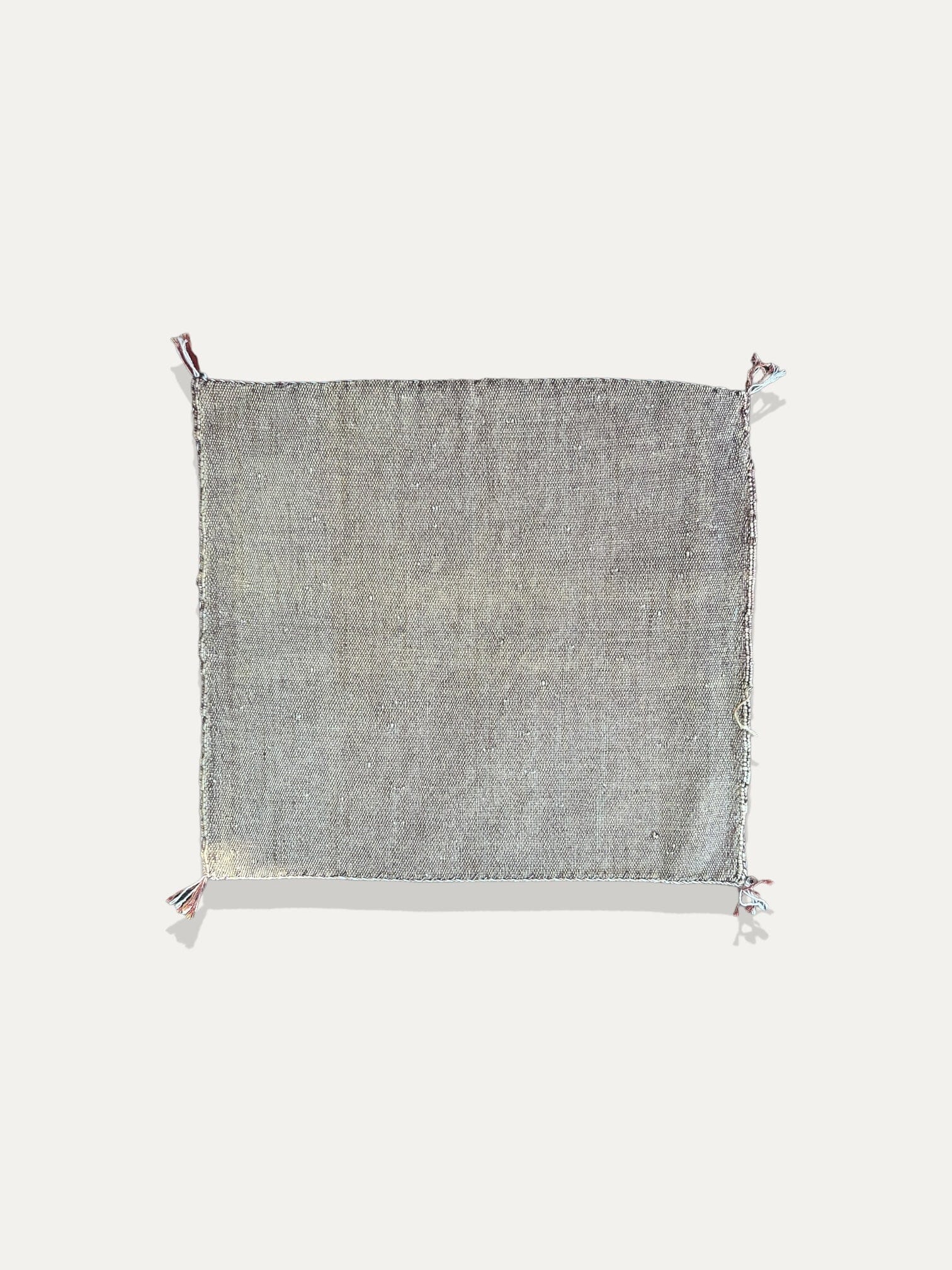 Housse de Coussin sable en soie de cactus - Tamila vase Cokoha