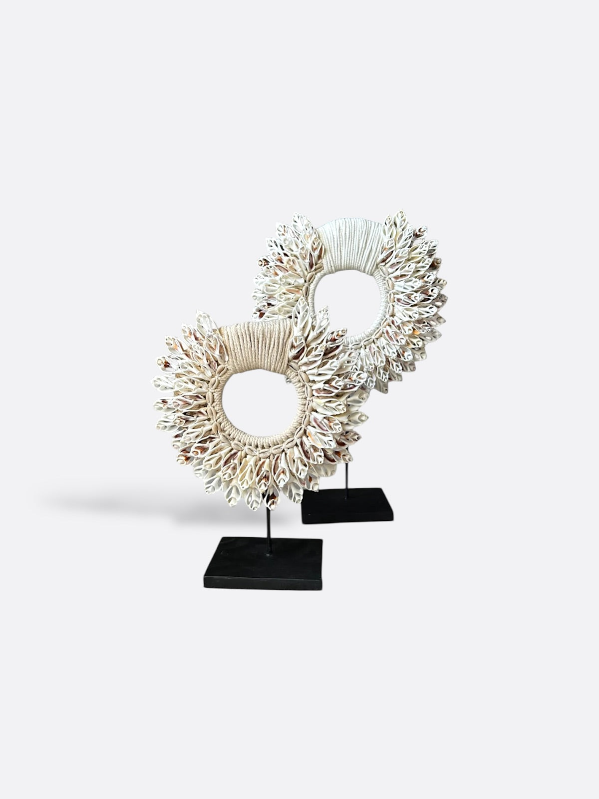 Collier en coquillages blanc sur socle - Semesta