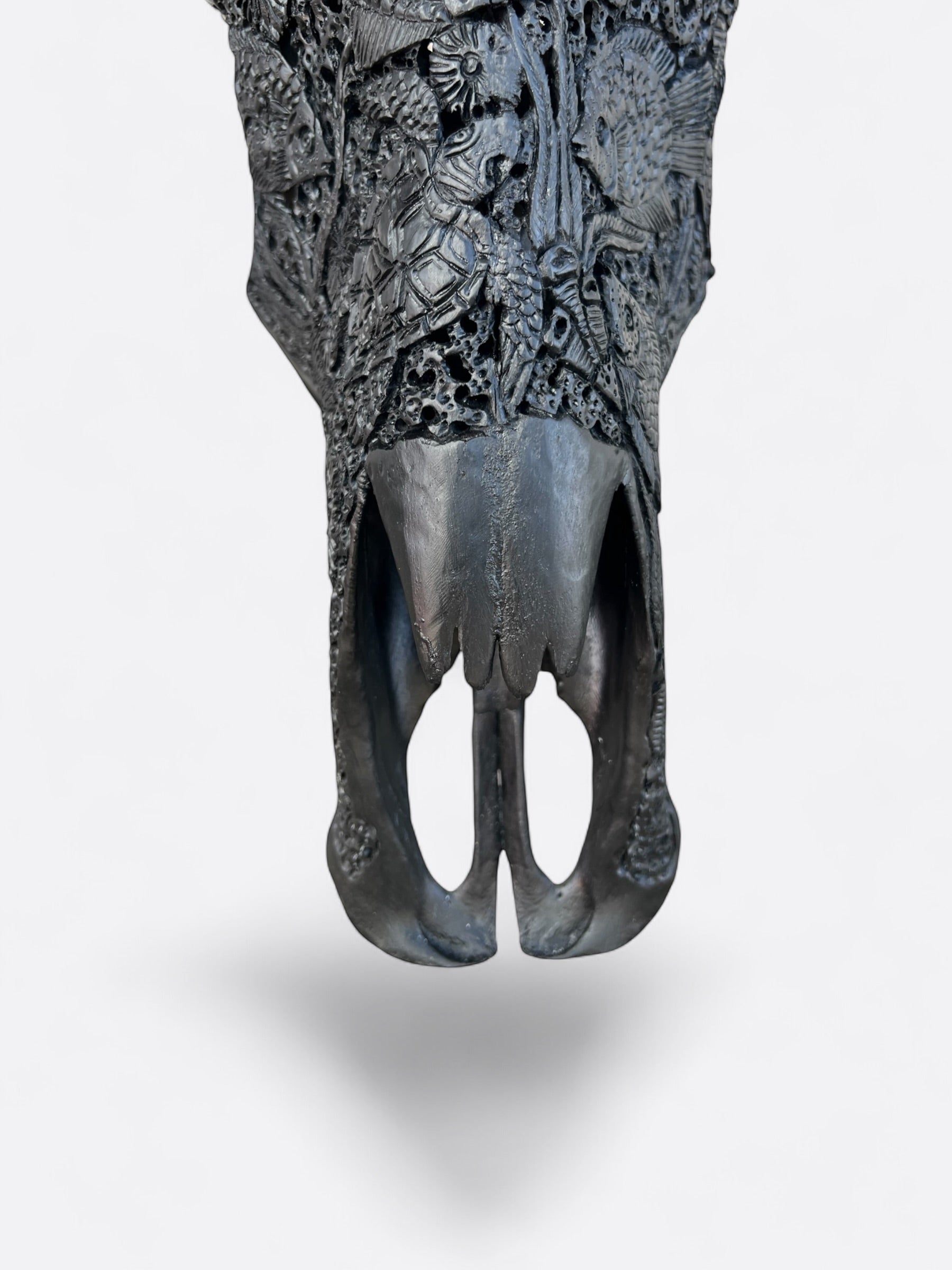 Crâne de buffle noir sculpté à la main – Baruna