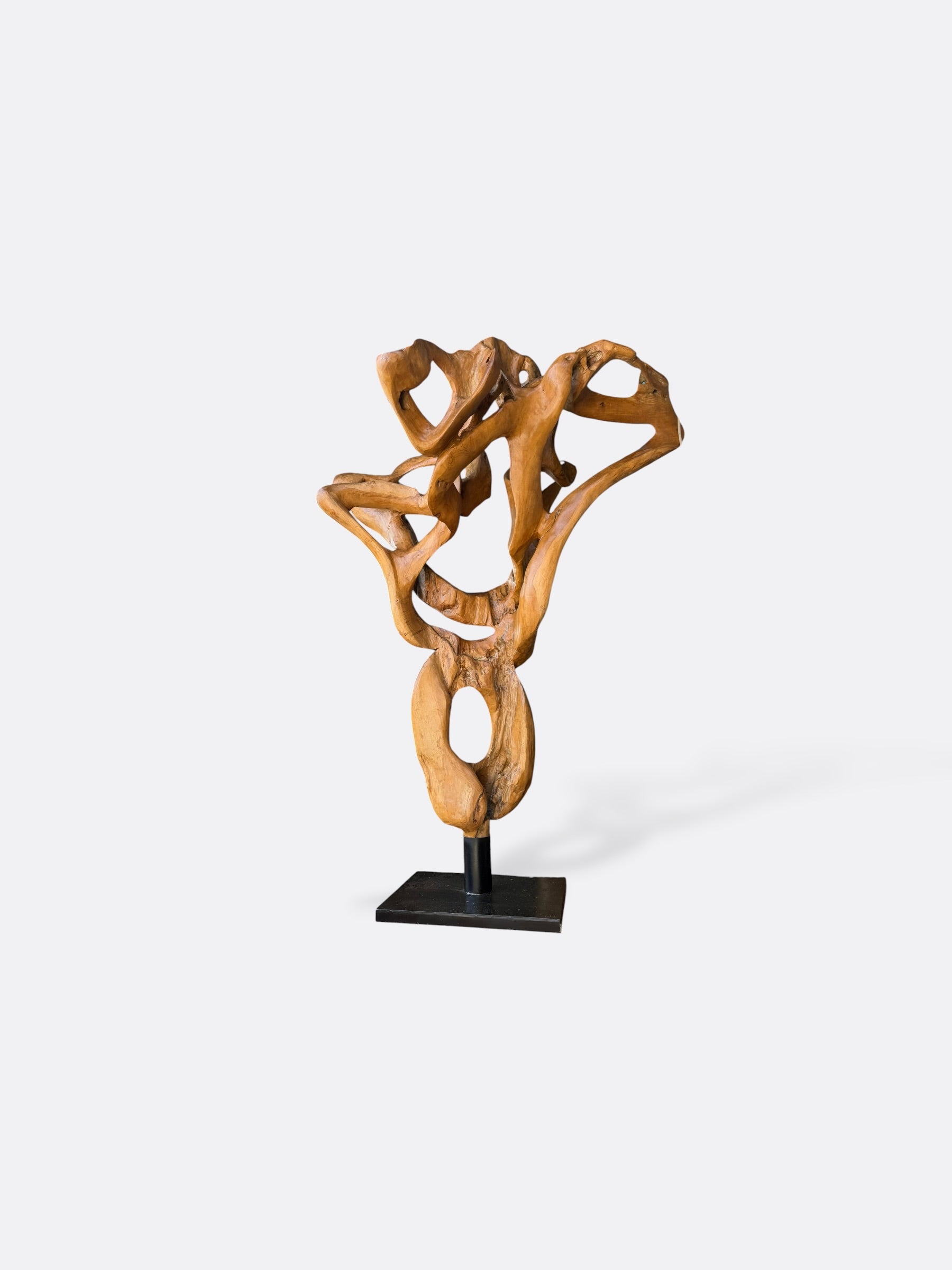 Sculpture organique Thima en teck massif, vue d'ensemble