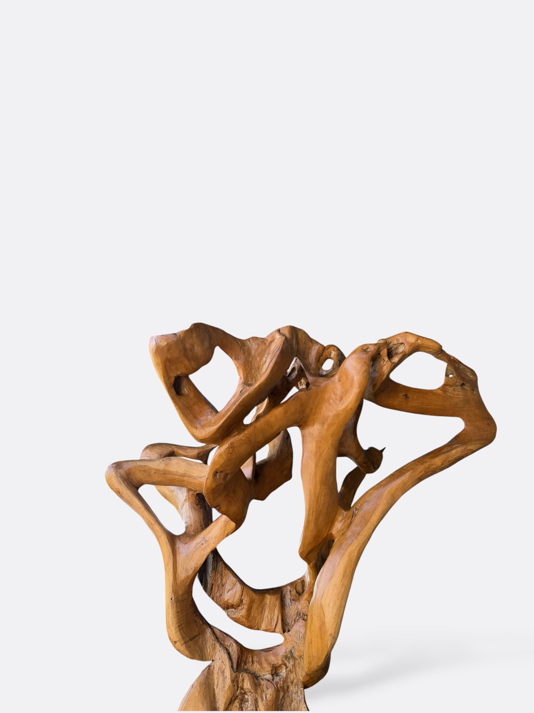 Sculpture organique Thima en teck massif, vue de profil