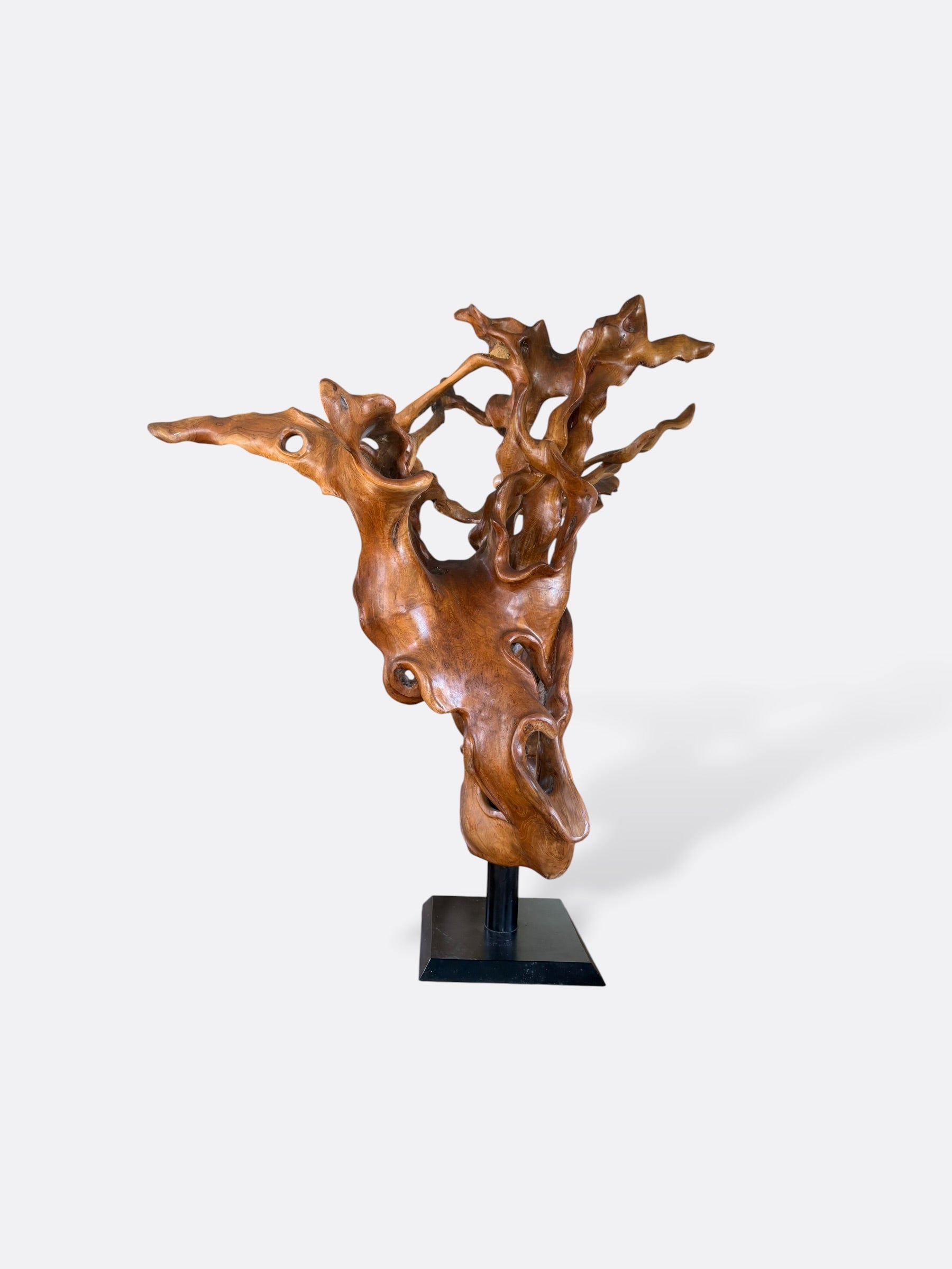 Sculpture organique Thim en teck massif, vue d'ensemble
