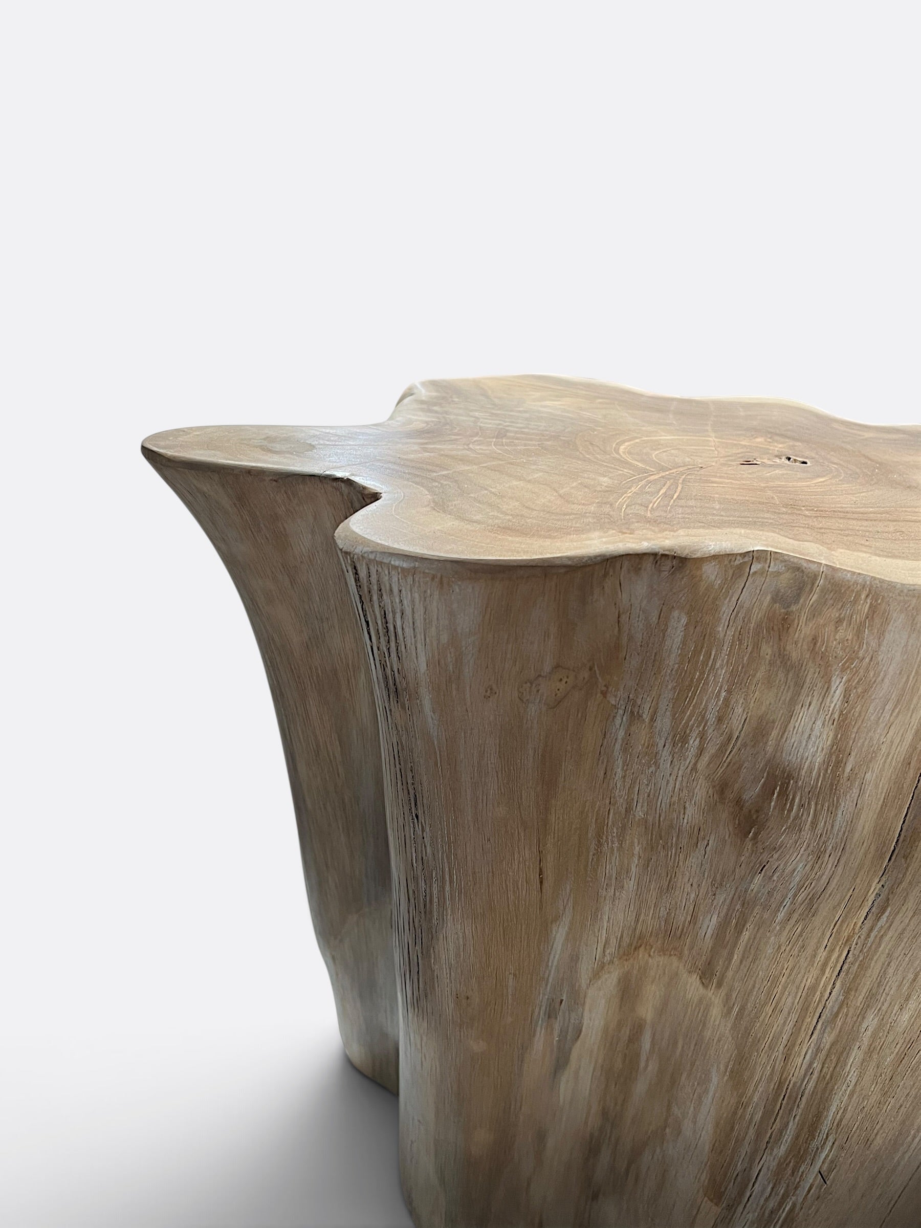 Table basse brute en Bois de Suar - Magda