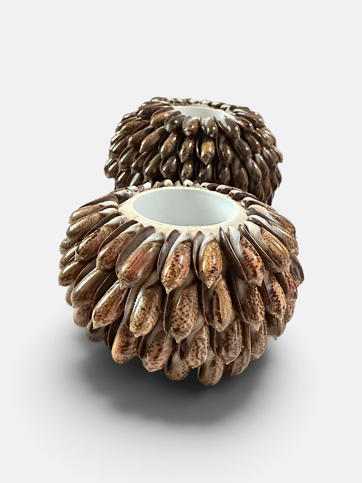 Bougeoirs en coquillage marron pour bougies chauffe-plat