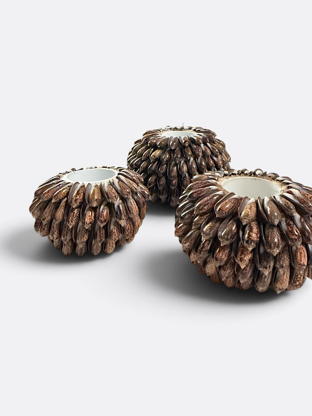 Détail des bougeoirs en coquillage marron, diamètres 10, 12 et 14 cm