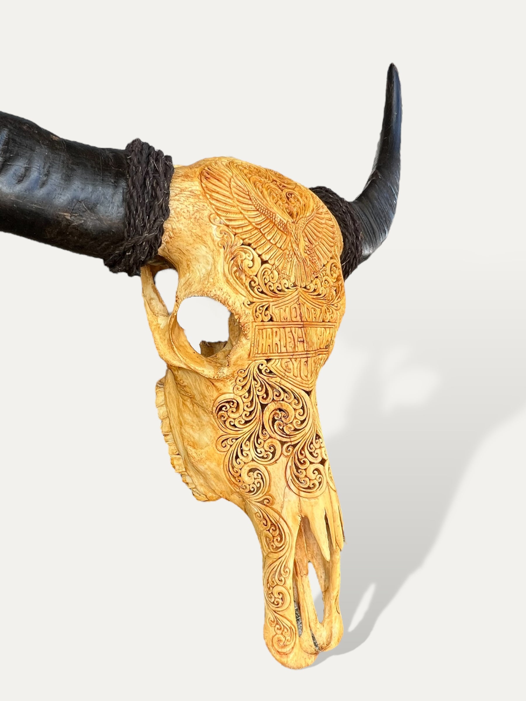 COKOHA Crâne de buffle sculpté XL - Fatboy