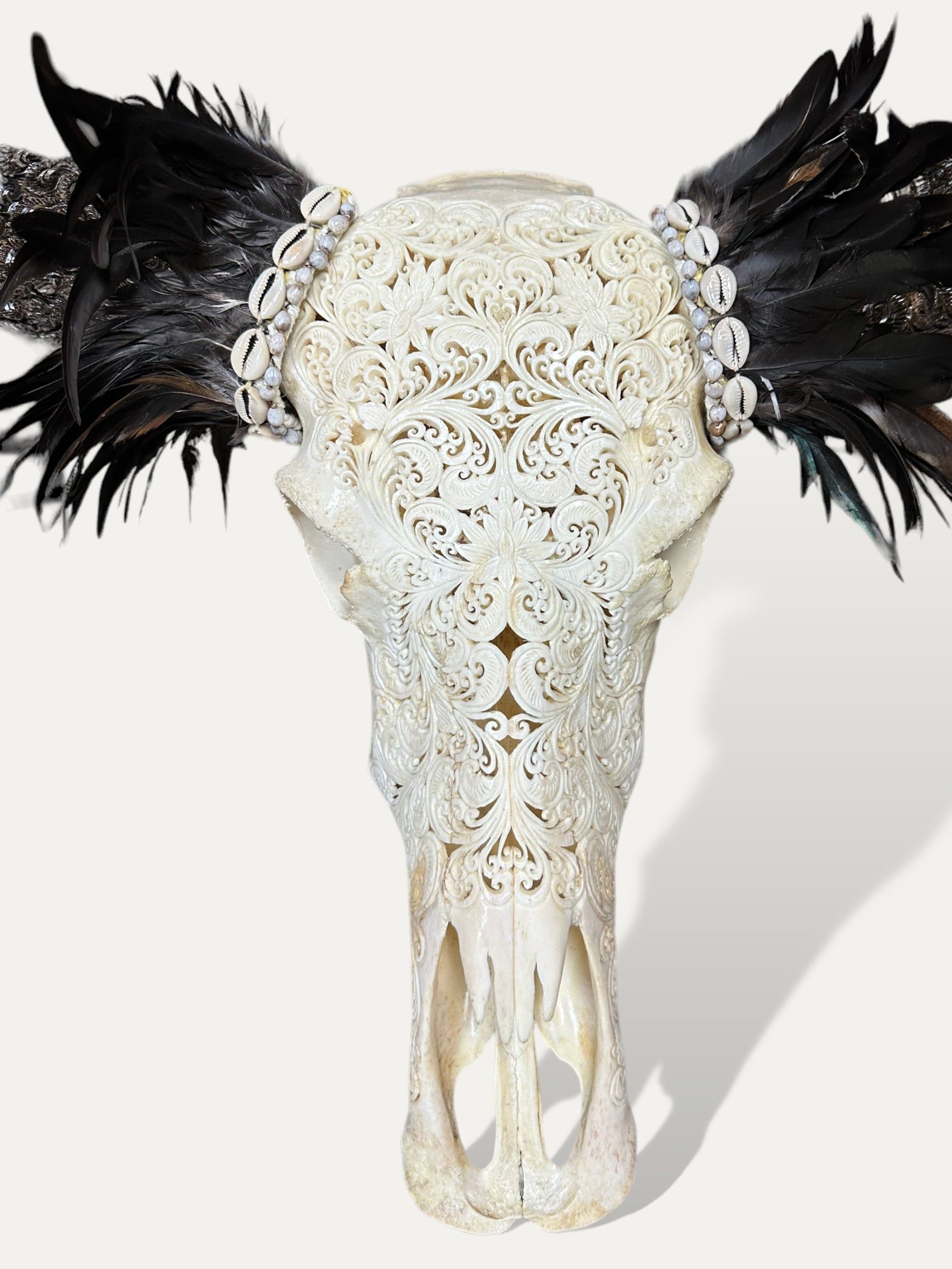 COKOHA - Crâne de buffle sculpté XL - Symphonie
