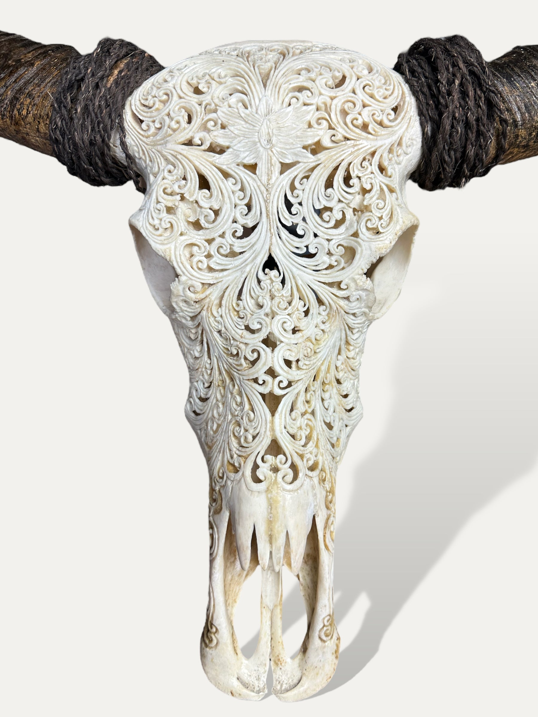 COKOHA - Crâne de buffle sculpté - Padma