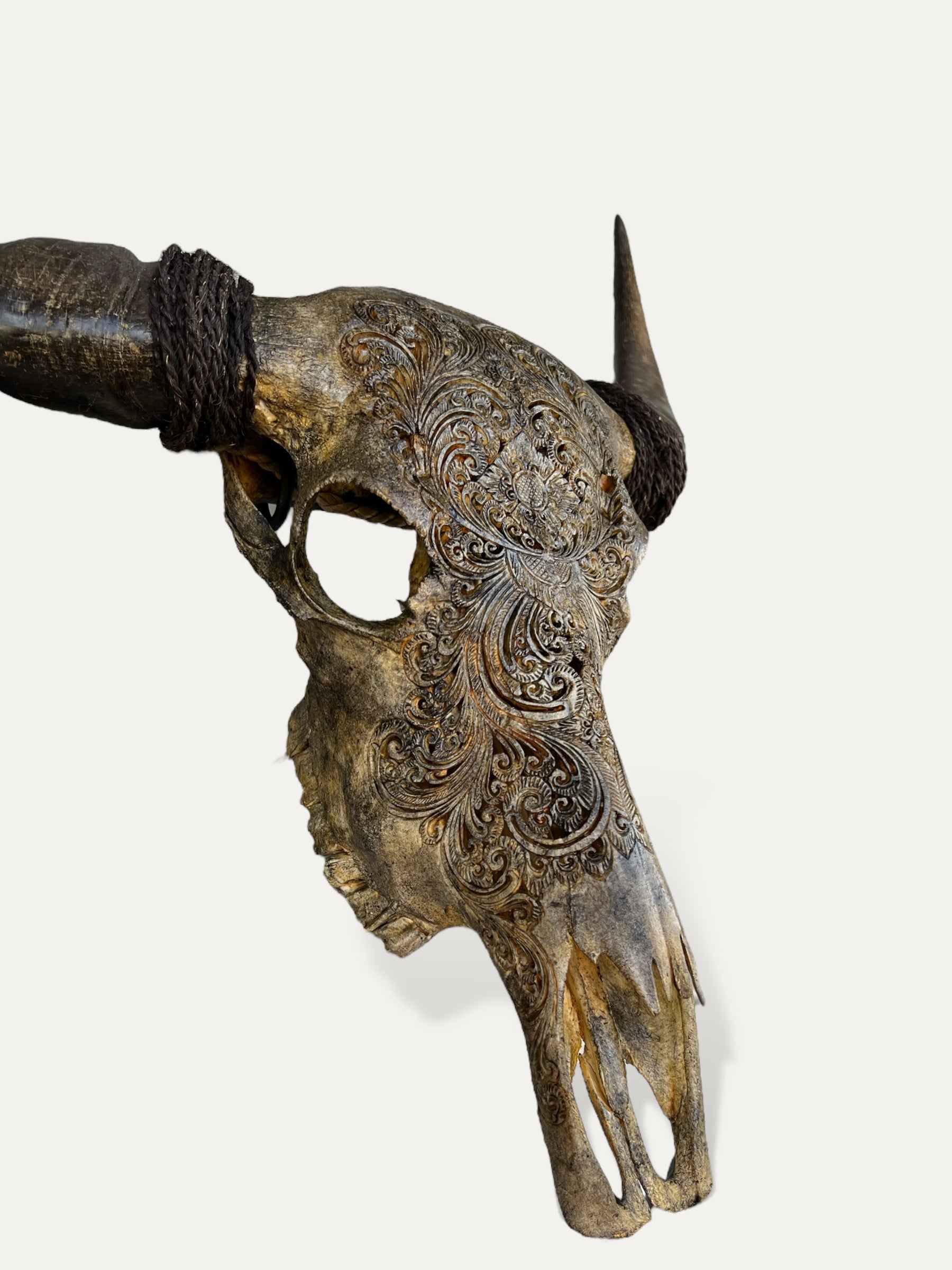 COKOHA Crâne de buffle sculpté - Hazel