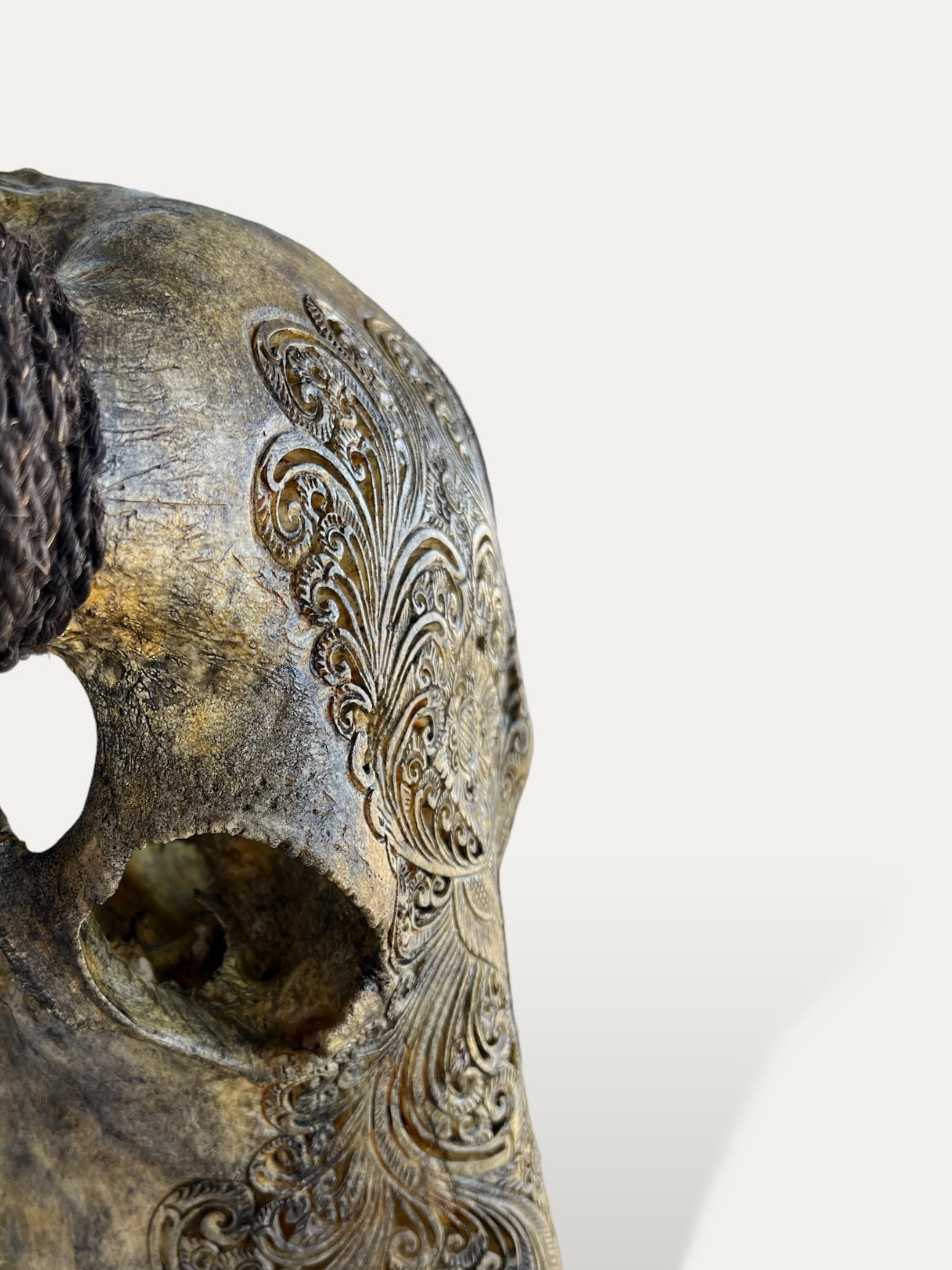 COKOHA Crâne de buffle sculpté - Hazel