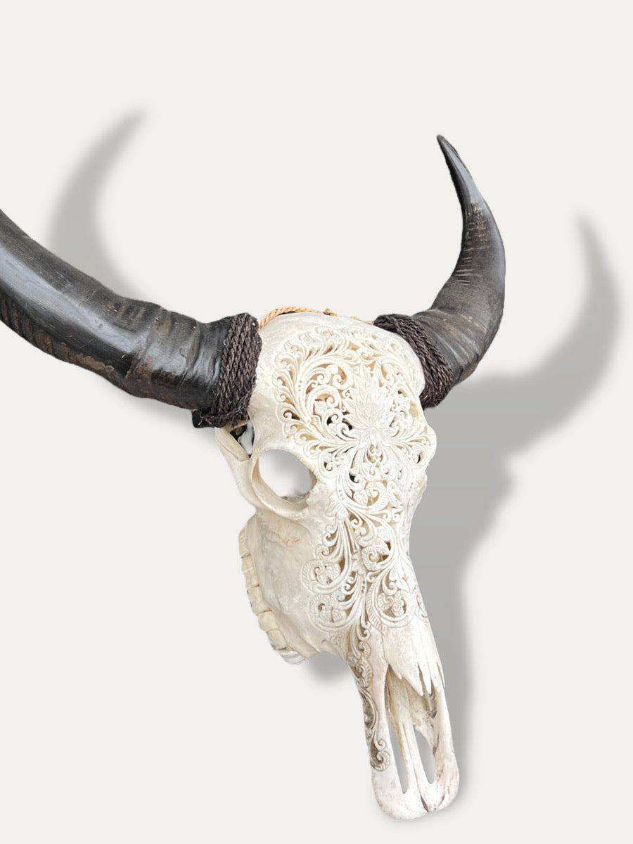 COKOHA - Crâne de buffle sculpté - Nova
