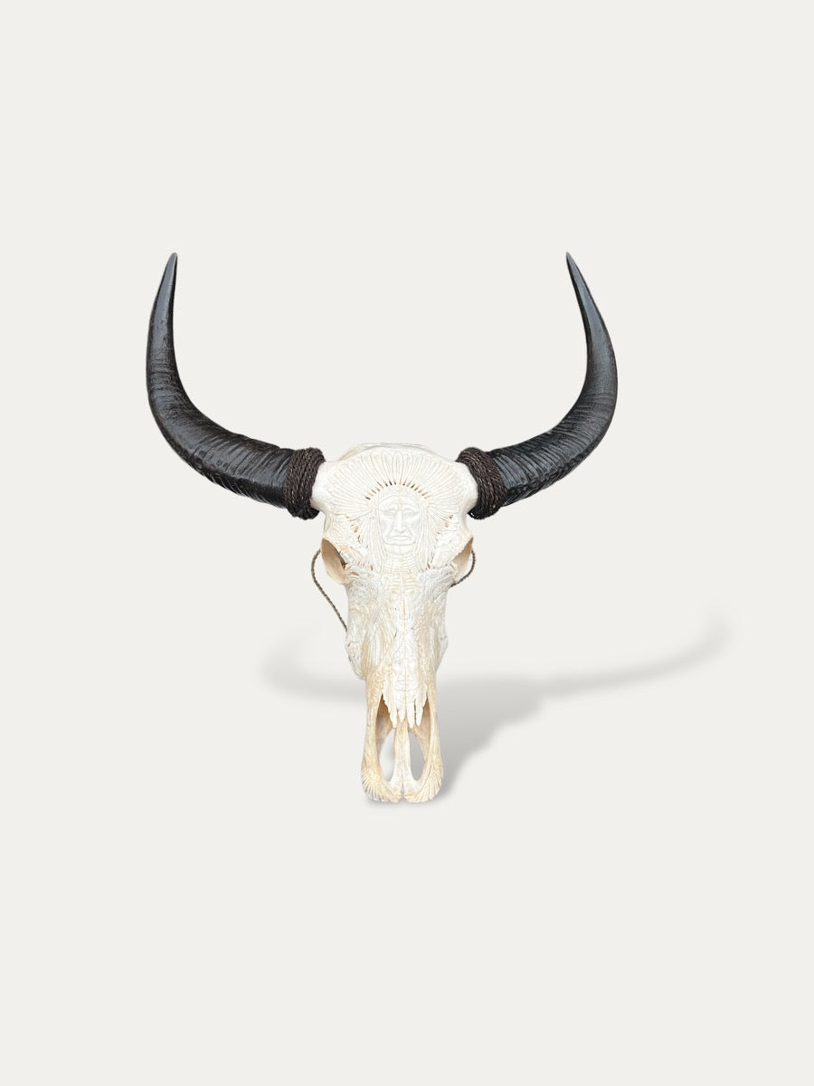 COKOHA - Crâne de buffle sculpté - Sitting Bull