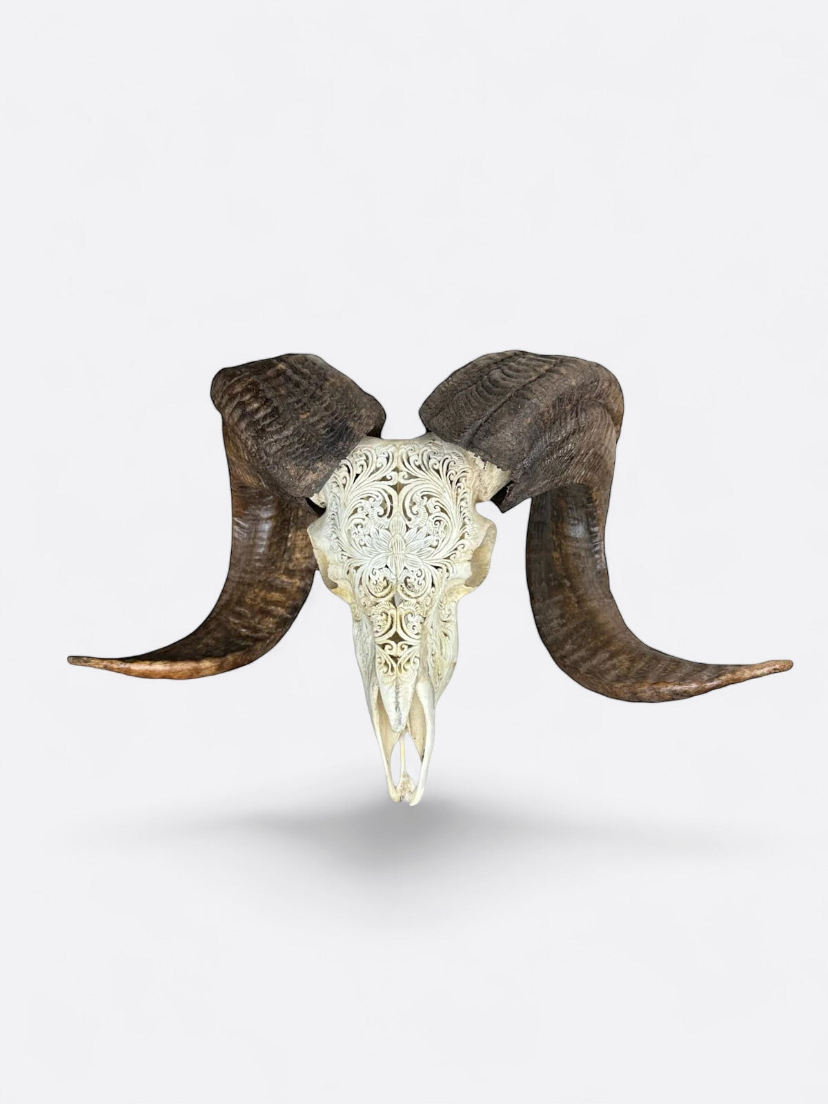 crane de bouc sculpté artisanat unique de bali décoration murale