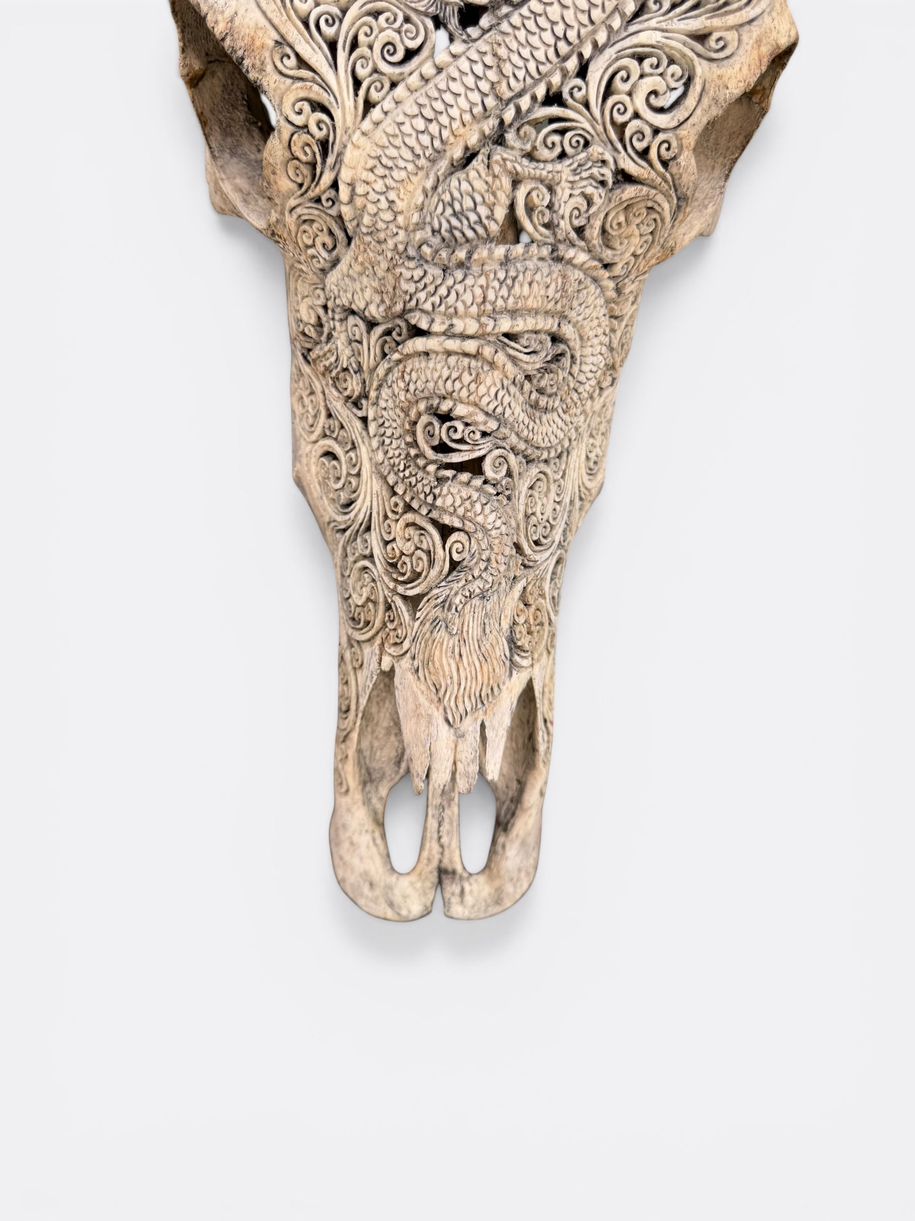 Crâne de buffle Barong accroché au mur