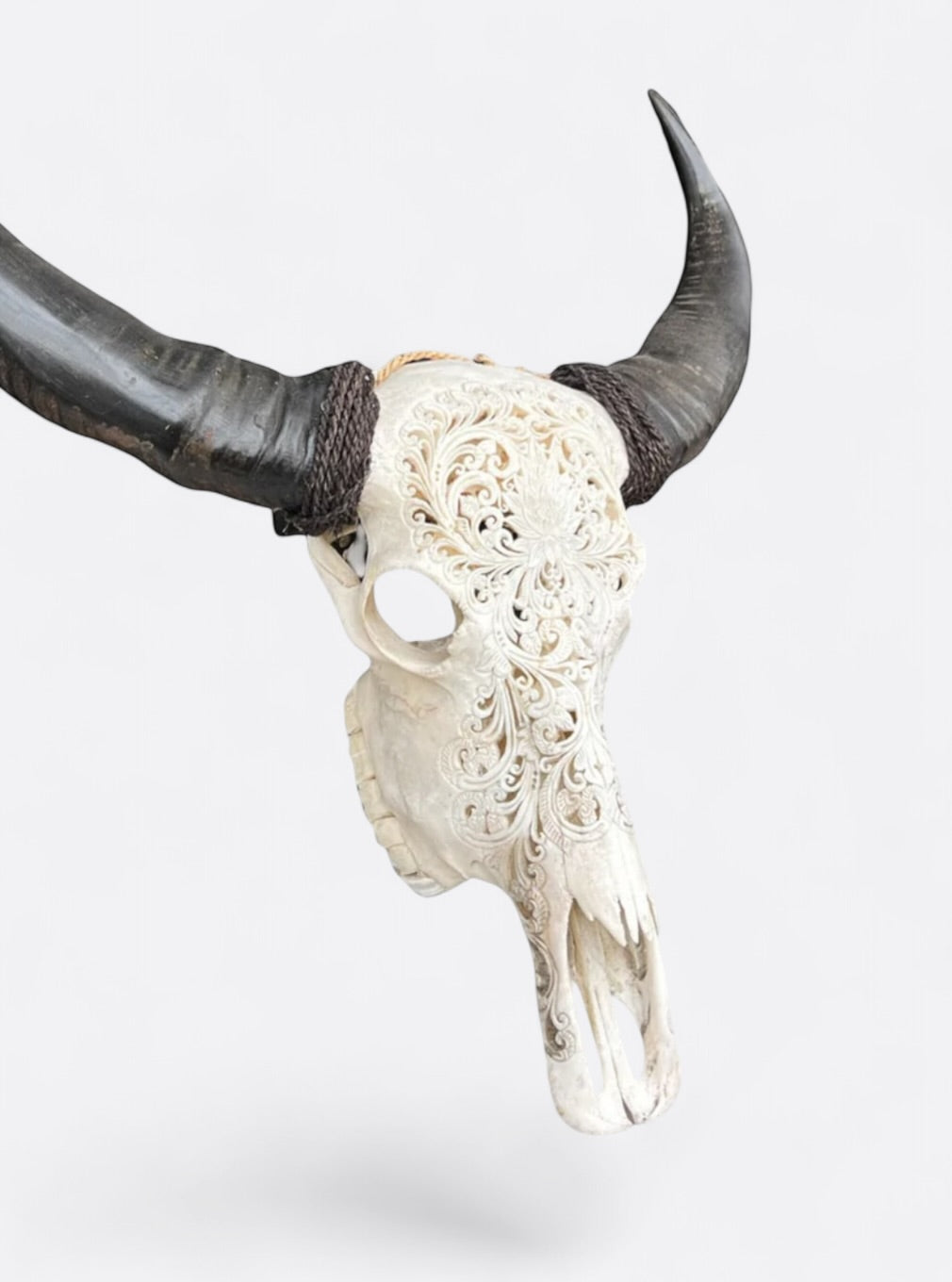 Crâne de buffle blanc sculpté à la main – Nova