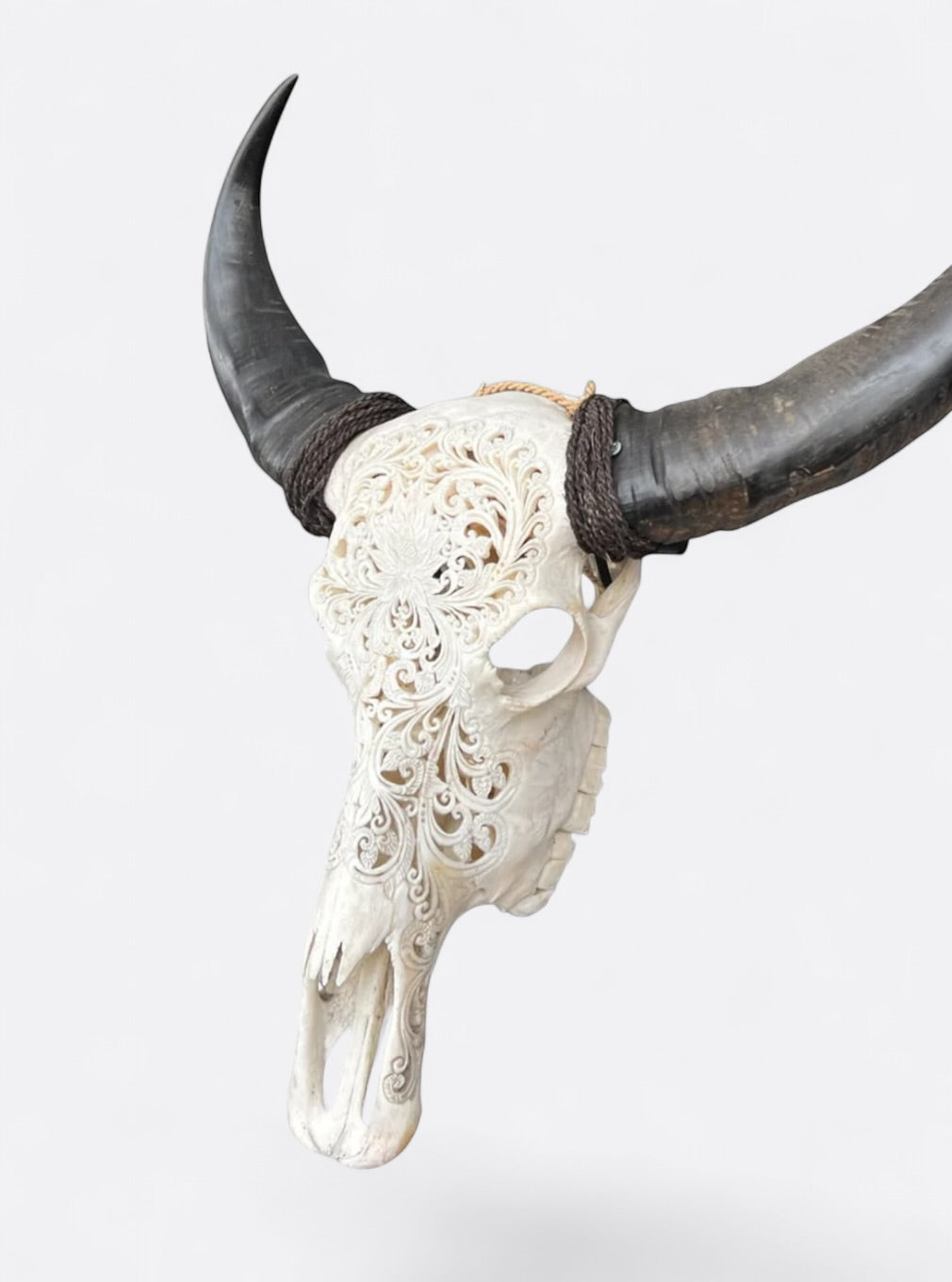Crâne de buffle blanc sculpté à la main – Nova