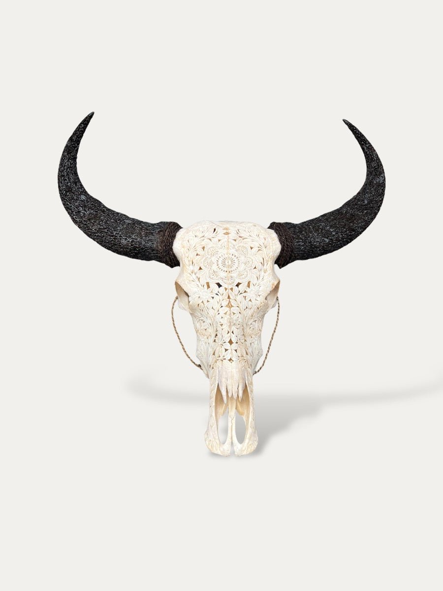 COKOHA - Crâne de buffle cornes sculptées - Sakti
