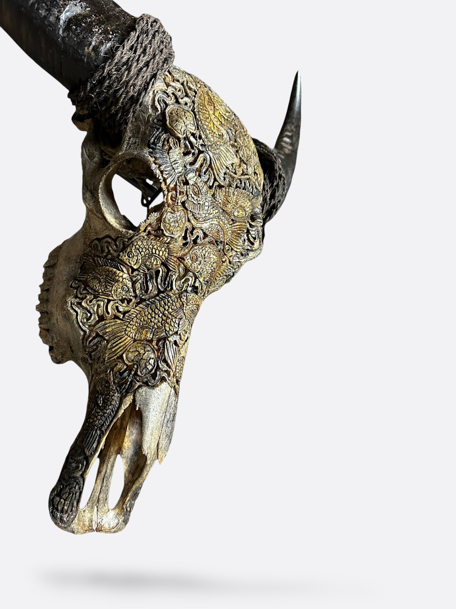 veritable crane de buffle de bali marron