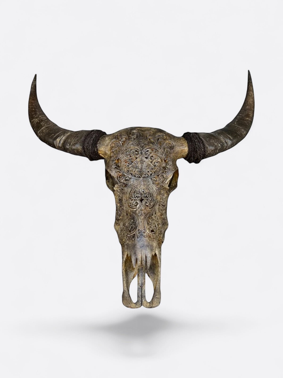 Crâne de buffle marron sculpté à la main à Bali – modèle Hazel