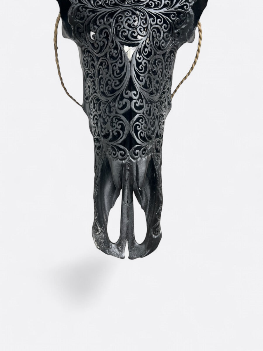 Crâne de buffle noir sculpté à la main – Stella