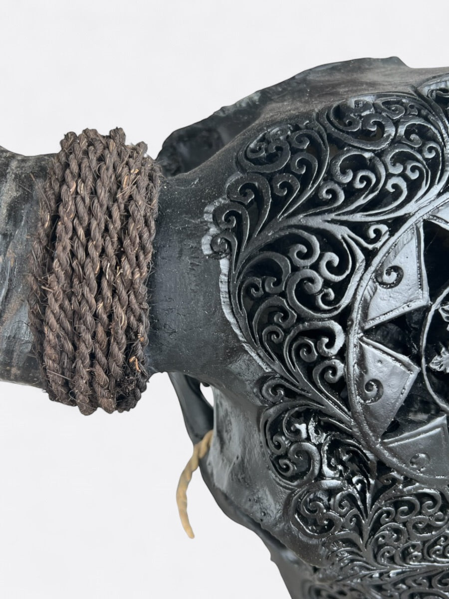 Crâne de buffle noir sculpté à la main – Stella