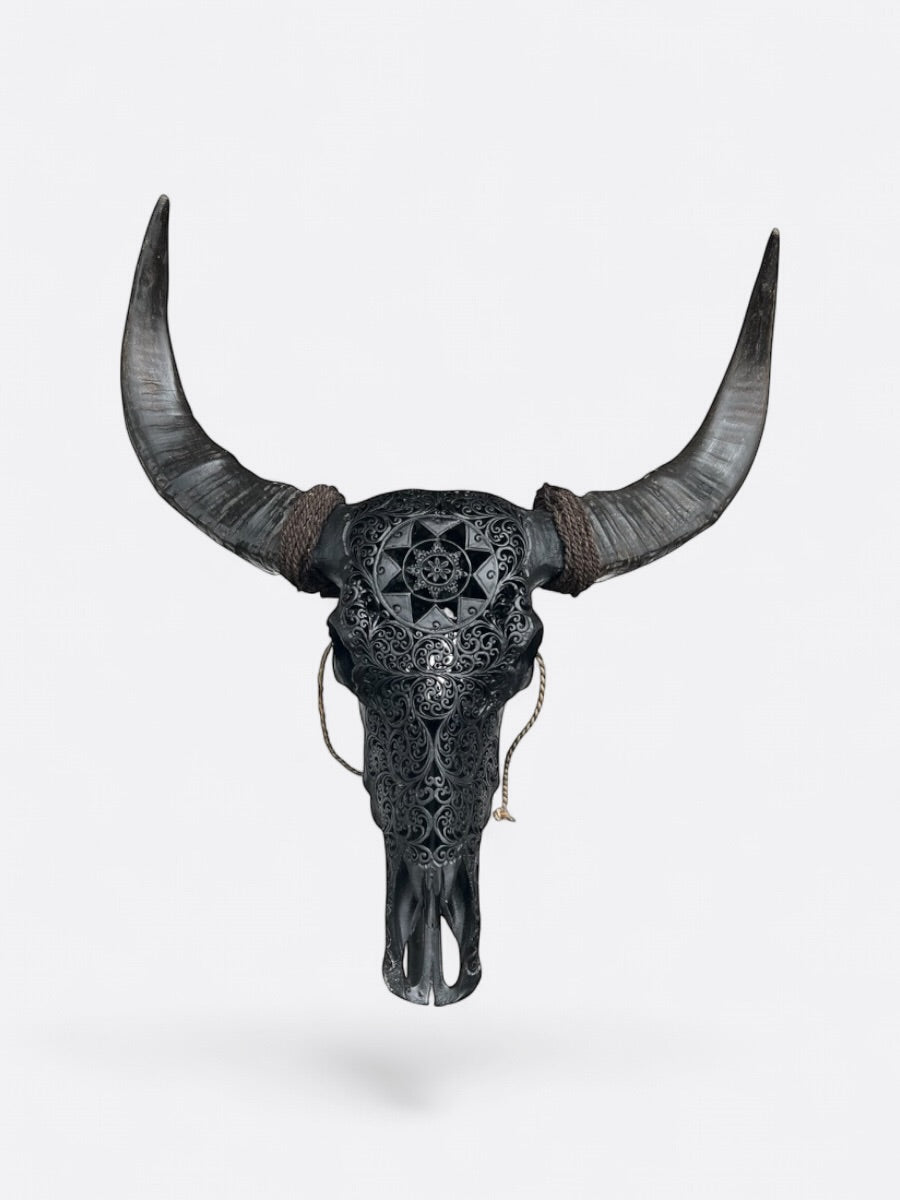 Crâne de buffle noir sculpté à la main à Bali – Stella