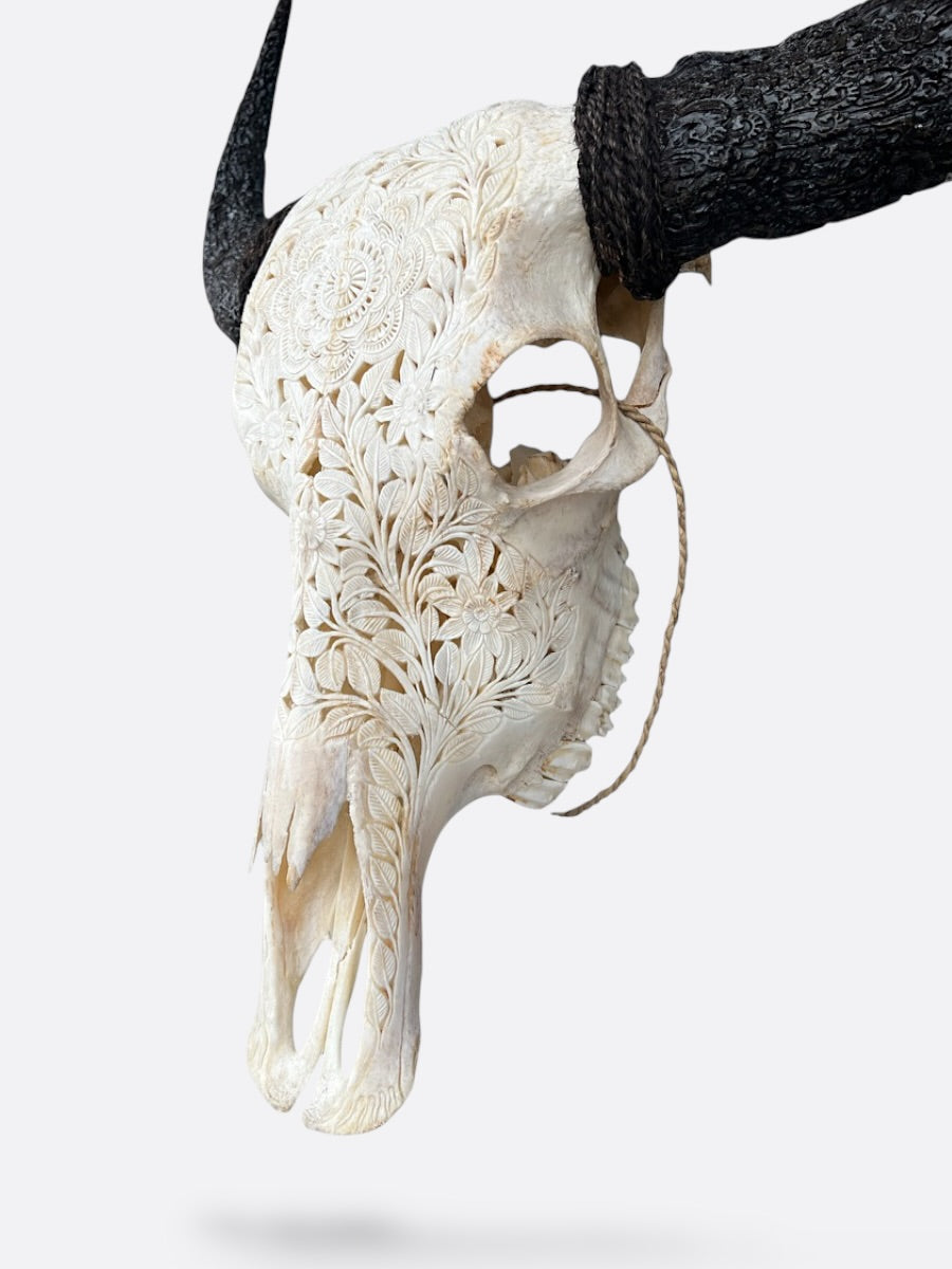 veritable crane de buffle de bali sculpté a la main